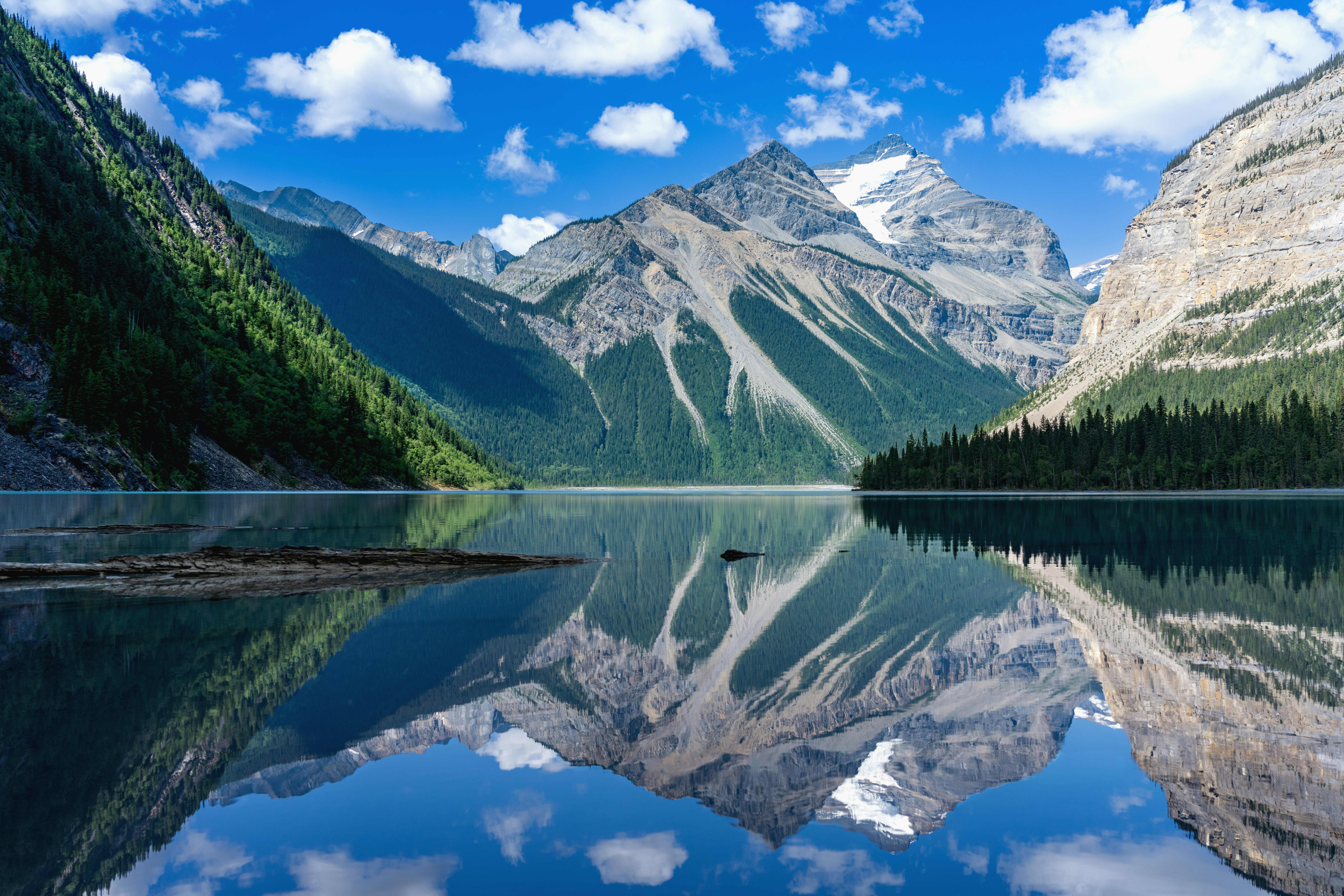 Photo by picture_scape