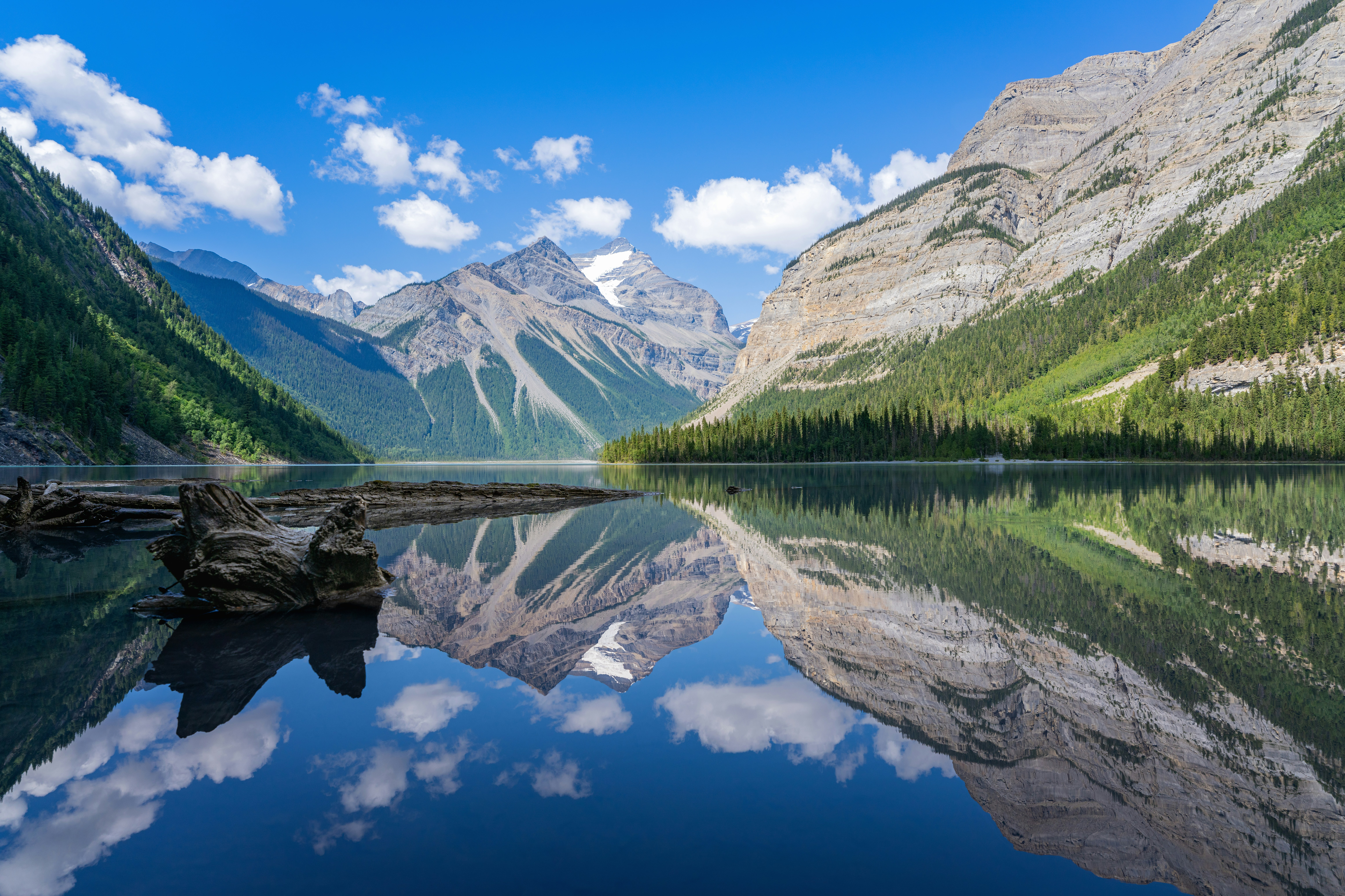 Photo by picture_scape