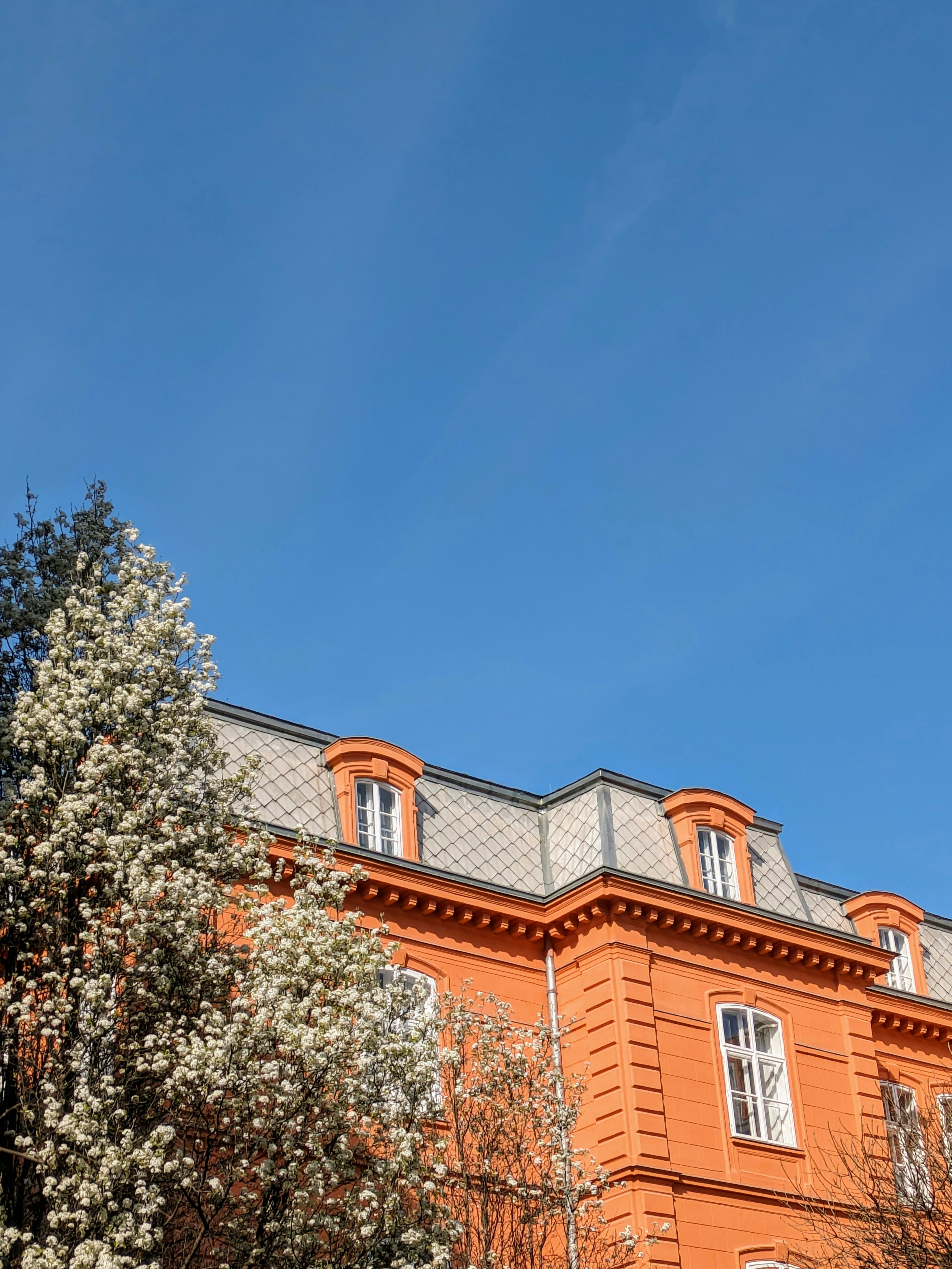 Photo by danieldiemer