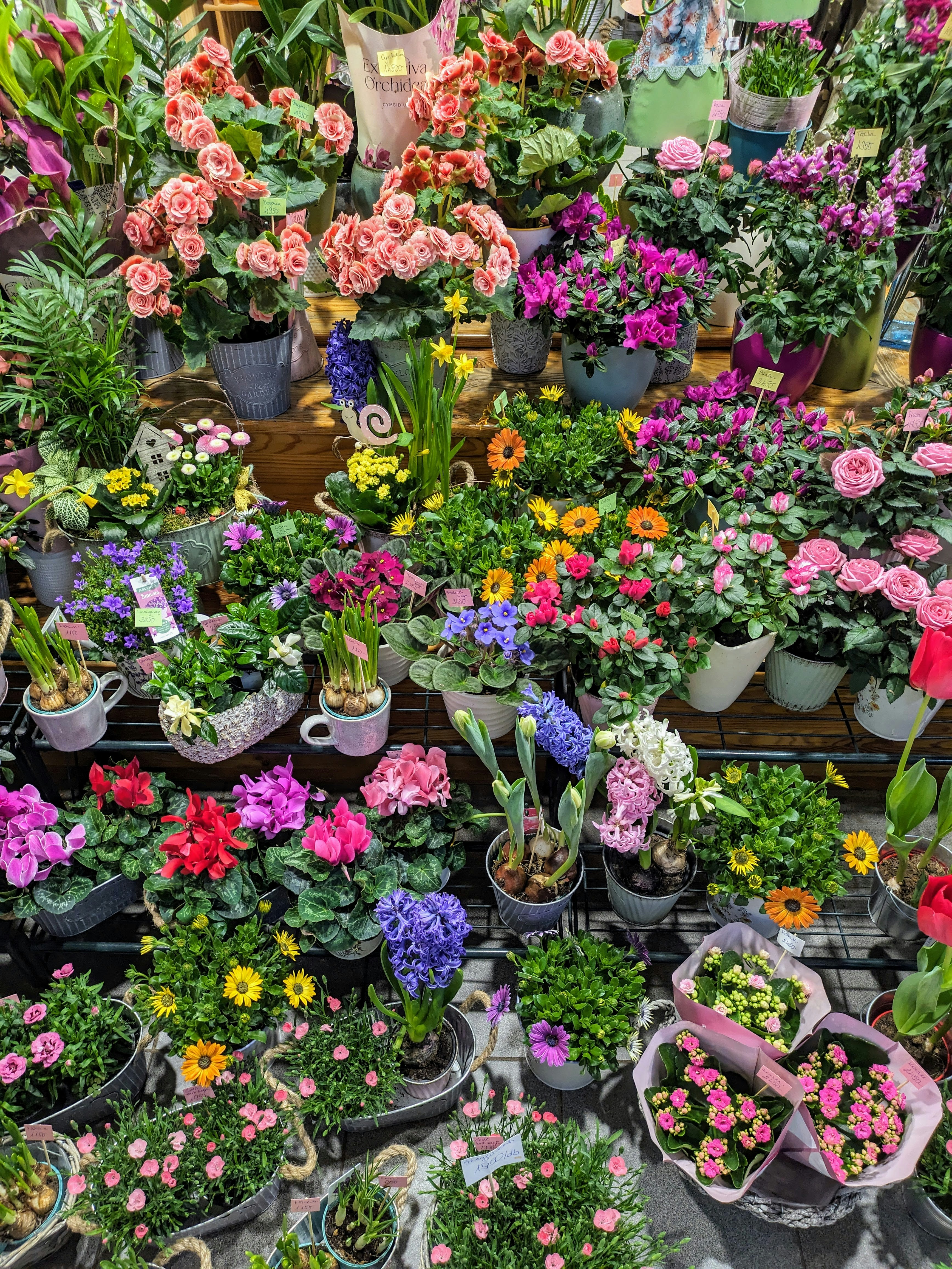 Photo by danieldiemer