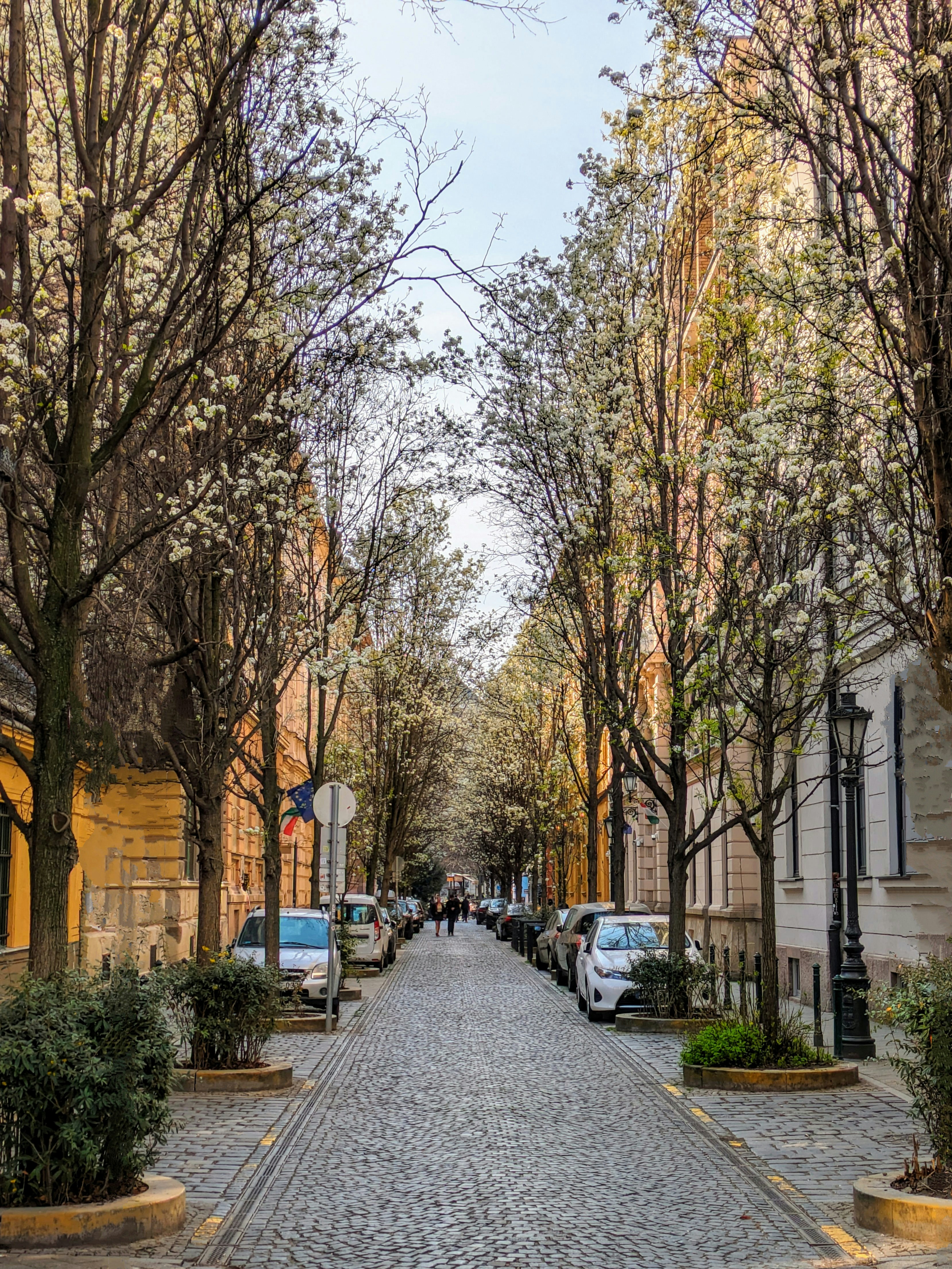 Photo by danieldiemer