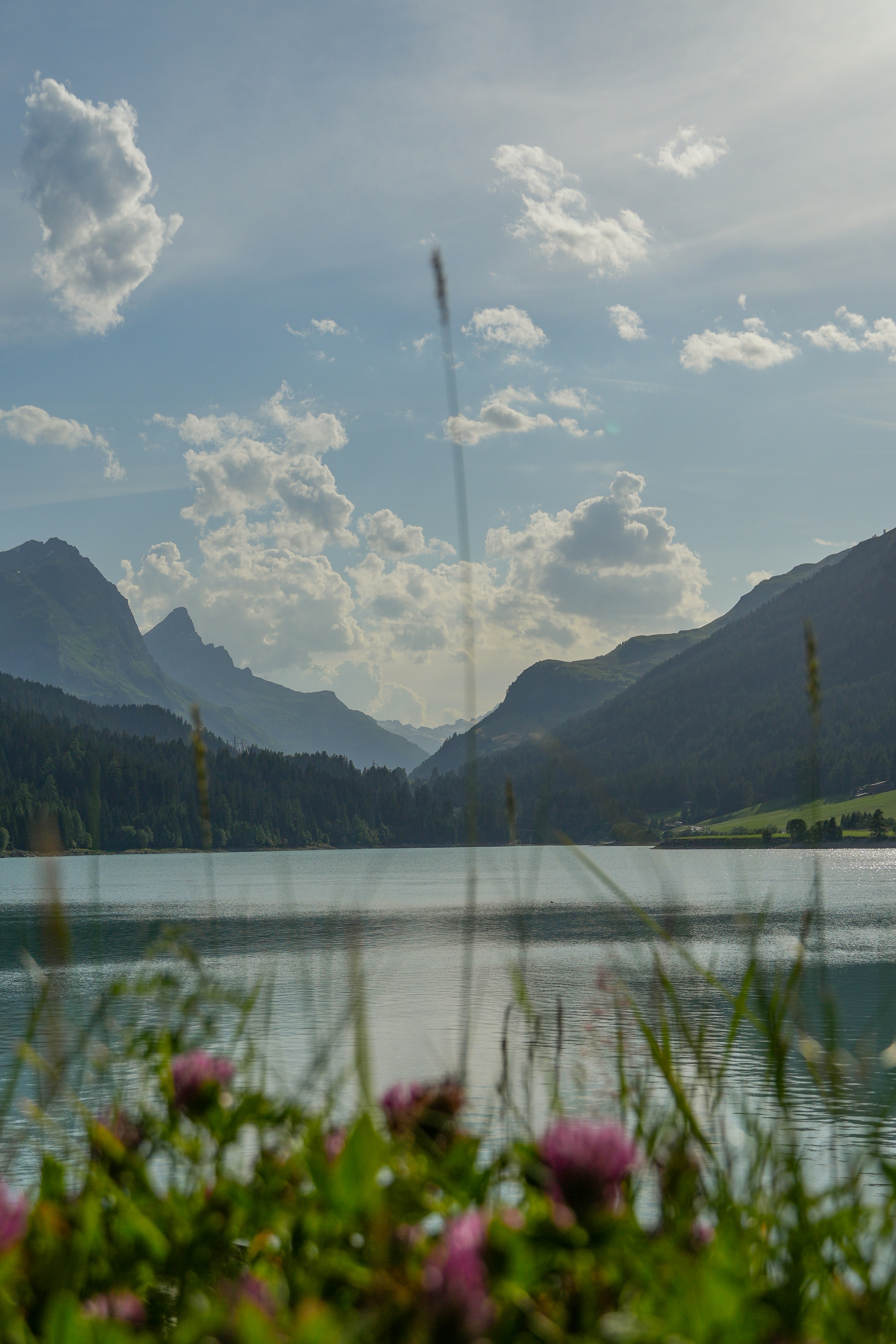 Photo by danieldiemer