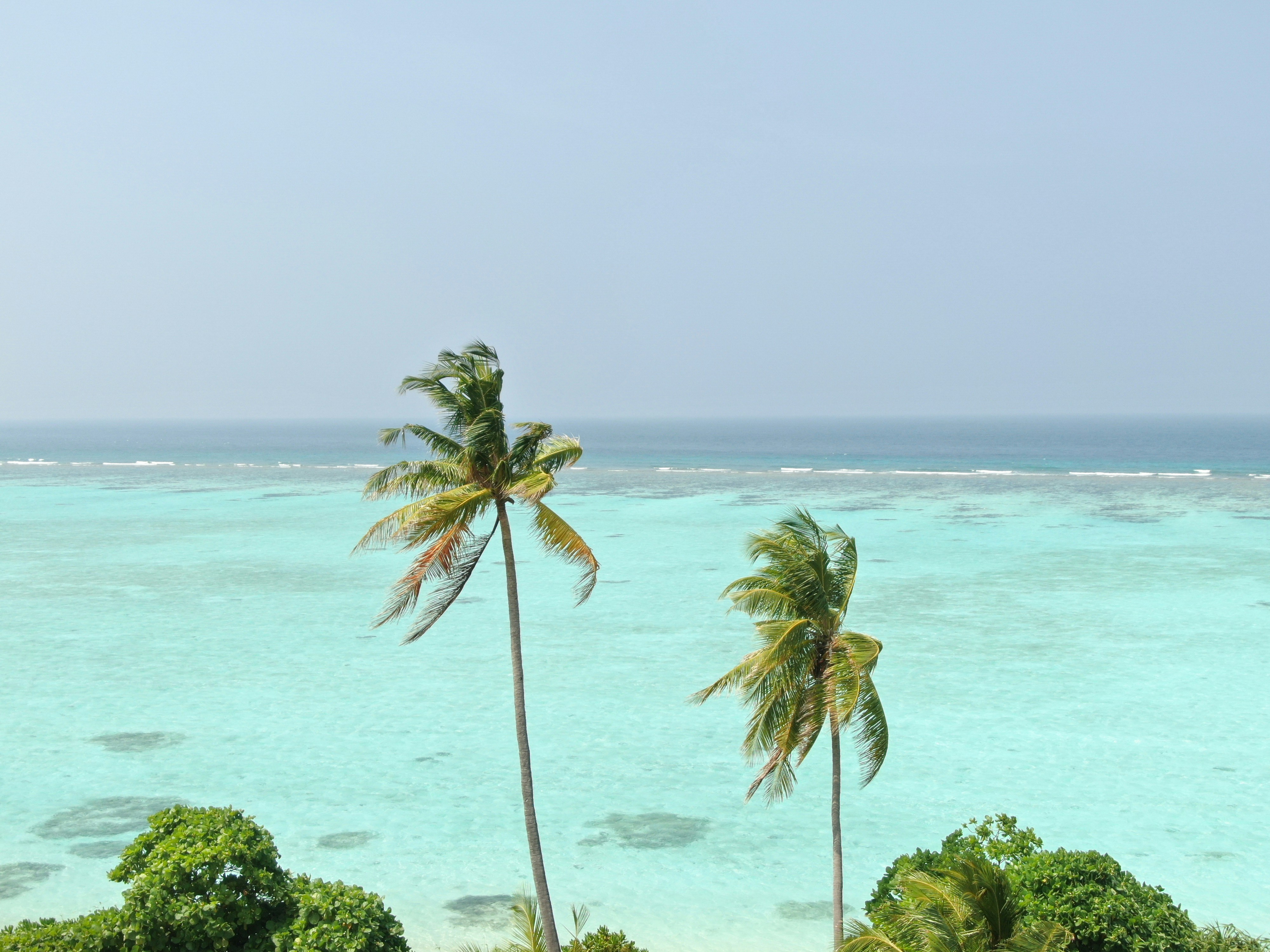 Photo by jumanjiphotos