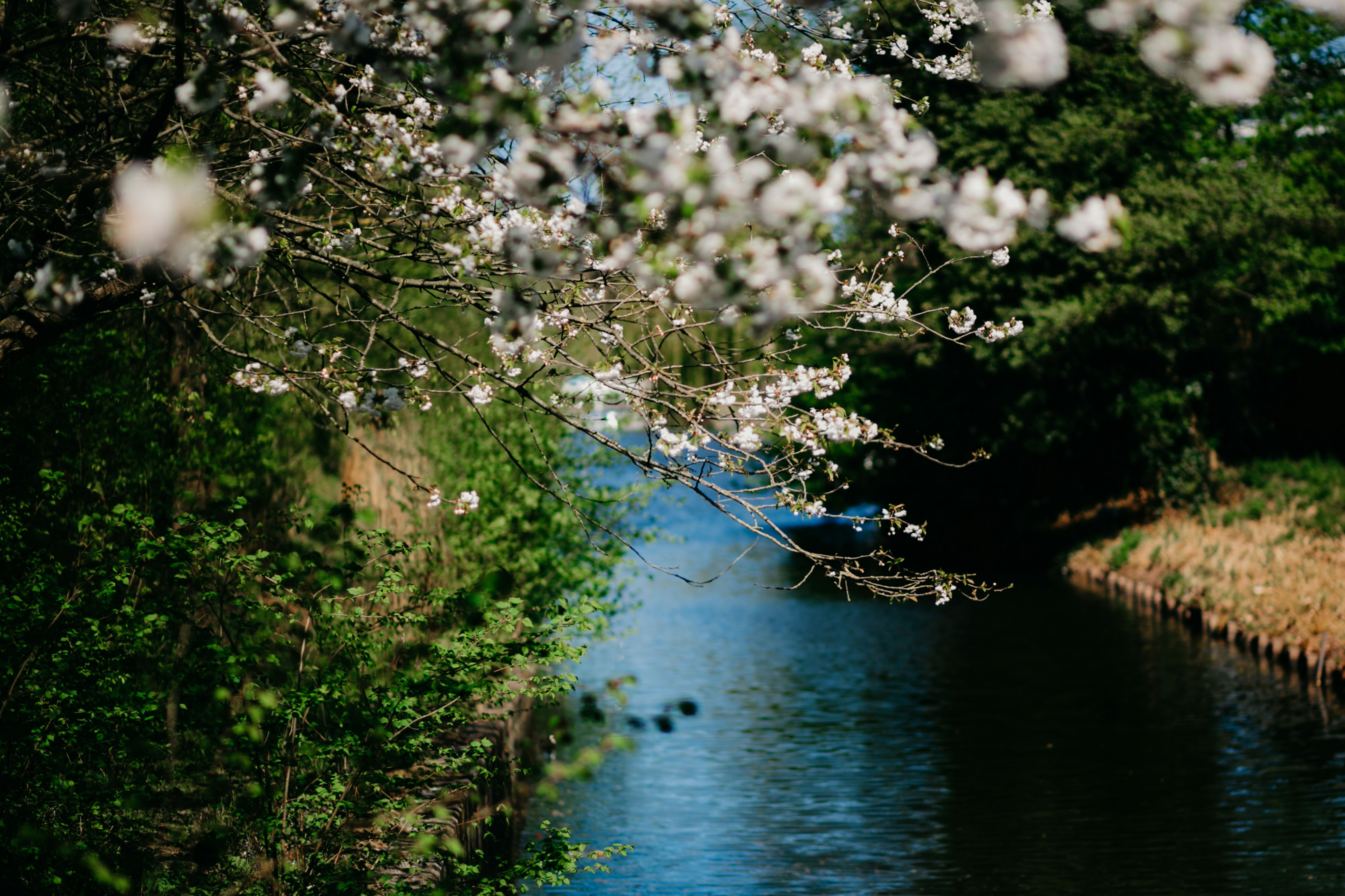 Photo by bellateixeira