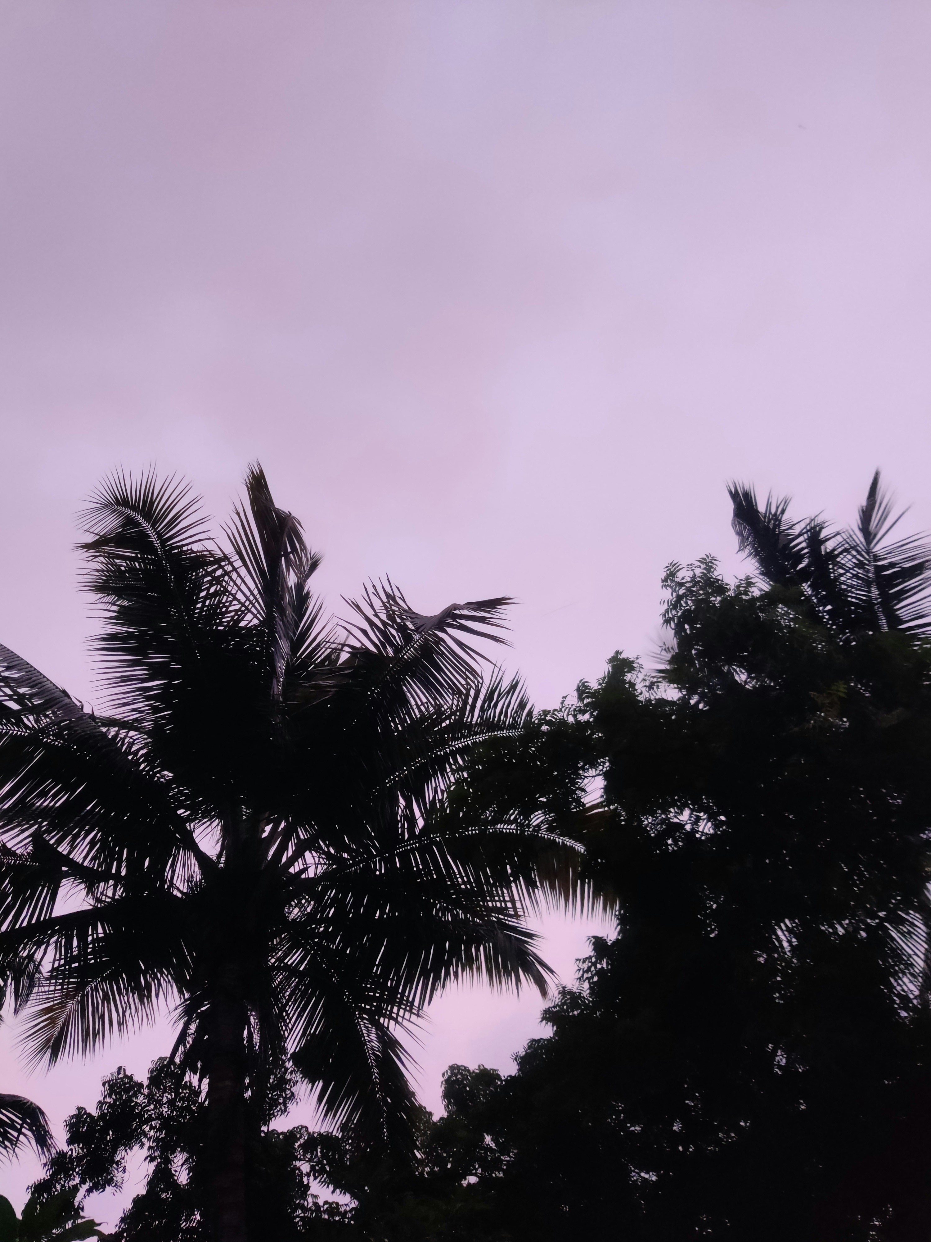 Photo by sparsh_2703