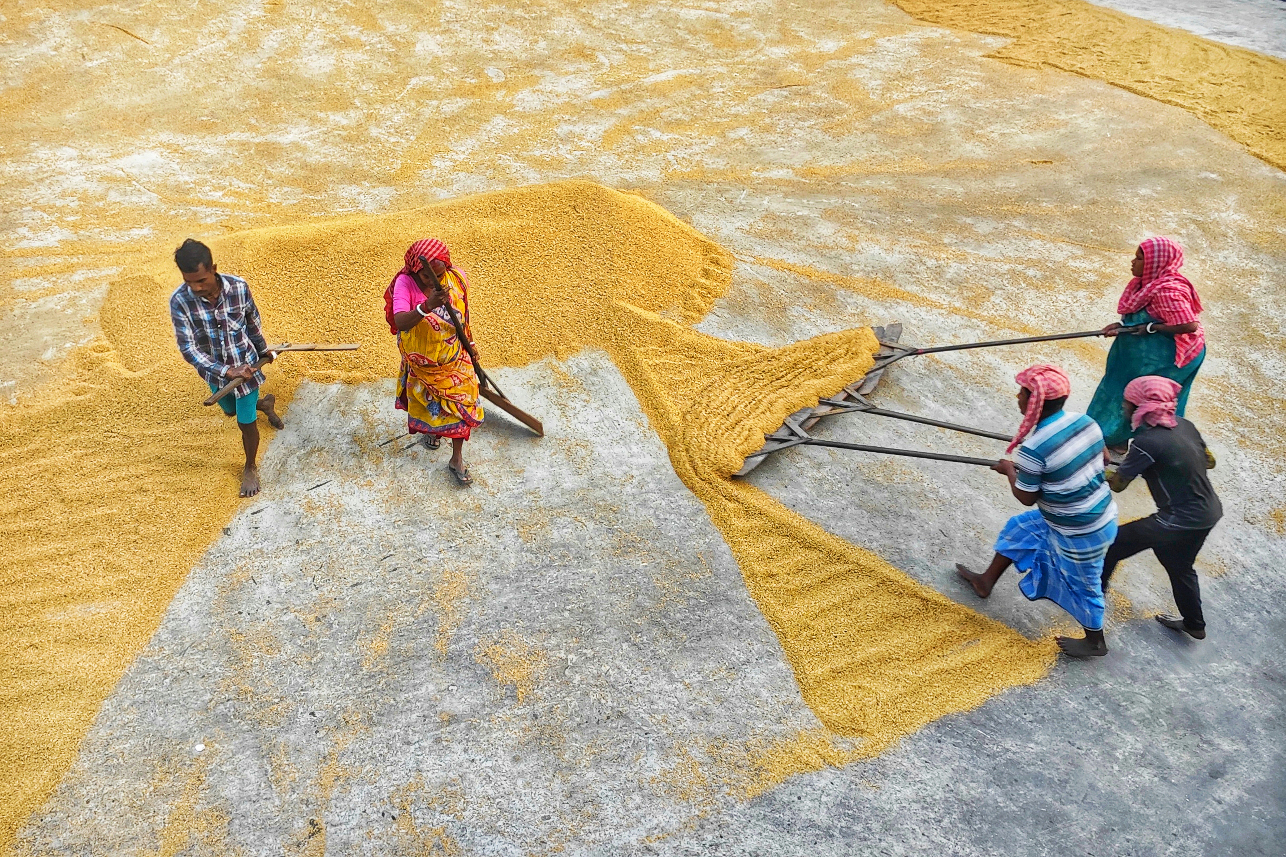 Photo by dibakar16roy