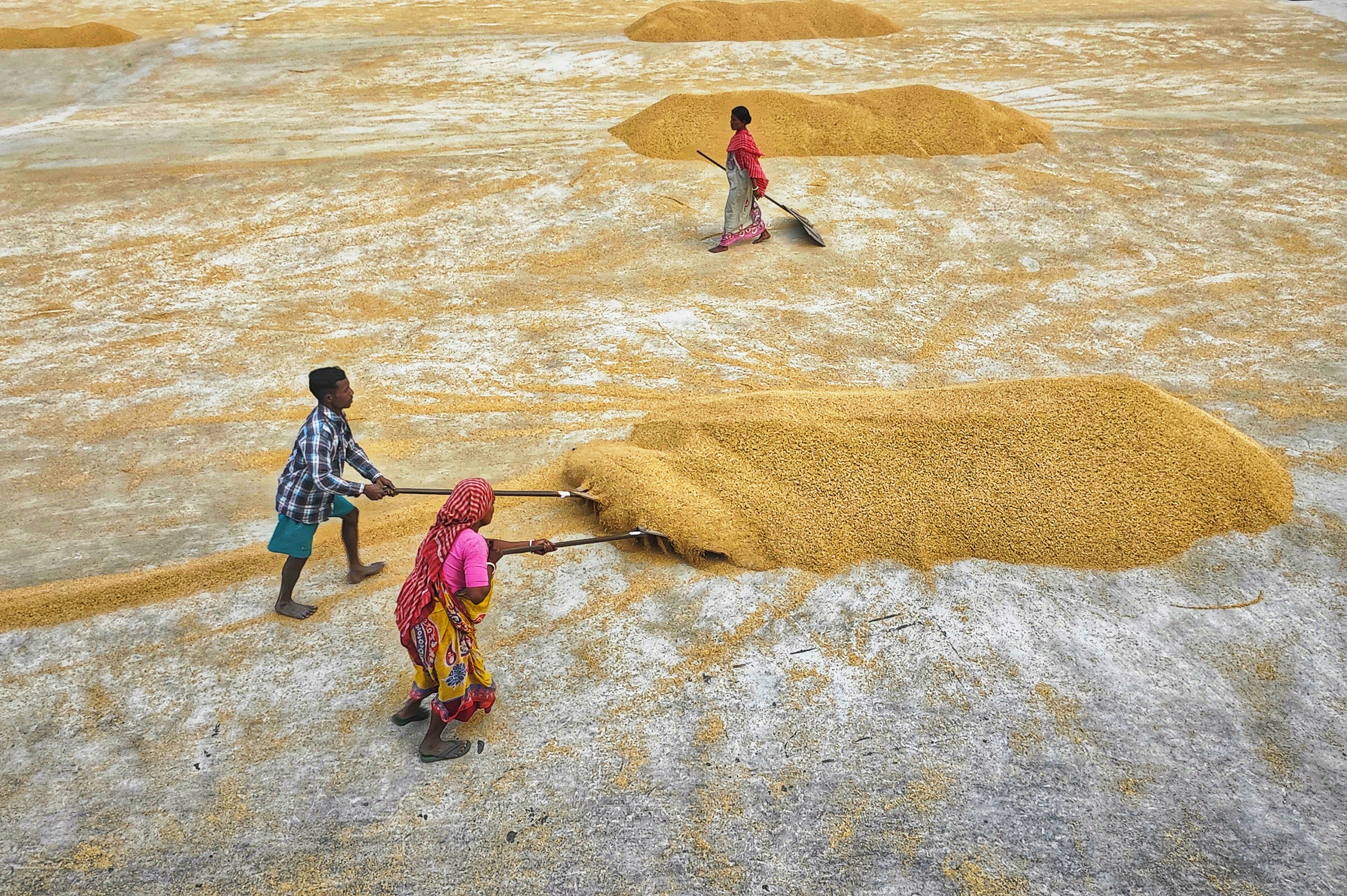 World Faces Deepening Global Hunger Crisis, Millions at Risk