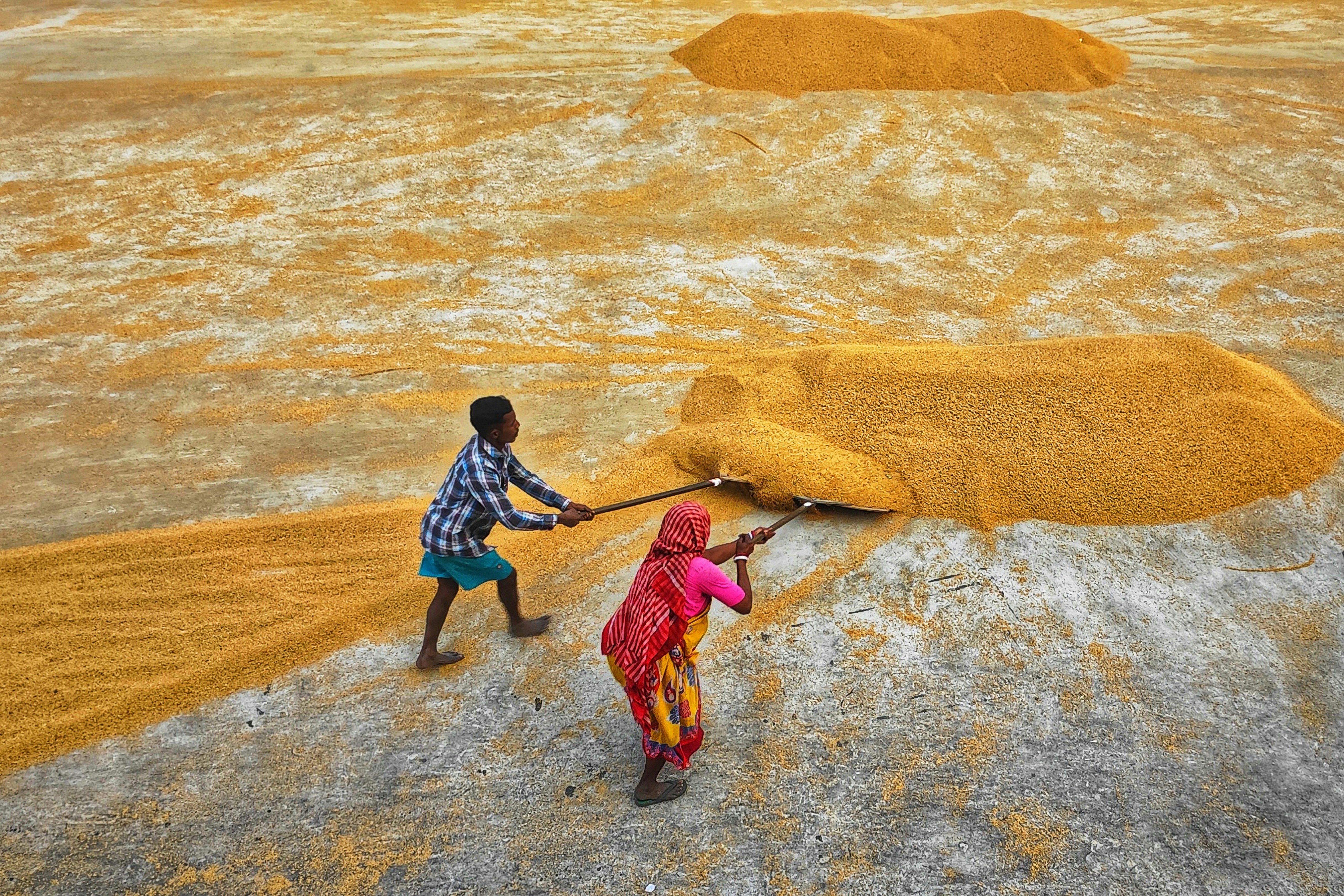 Photo by dibakar16roy