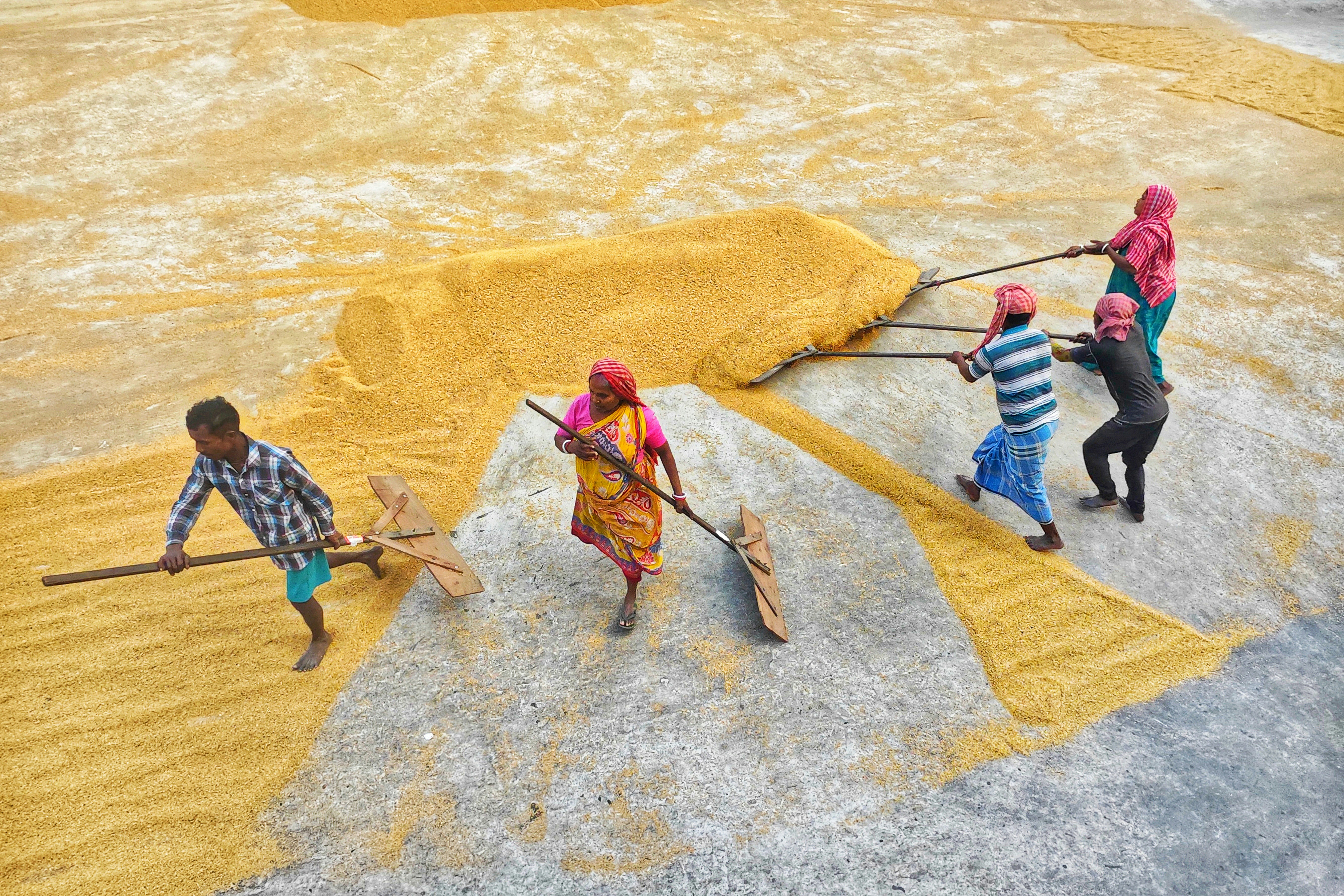 Photo by dibakar16roy