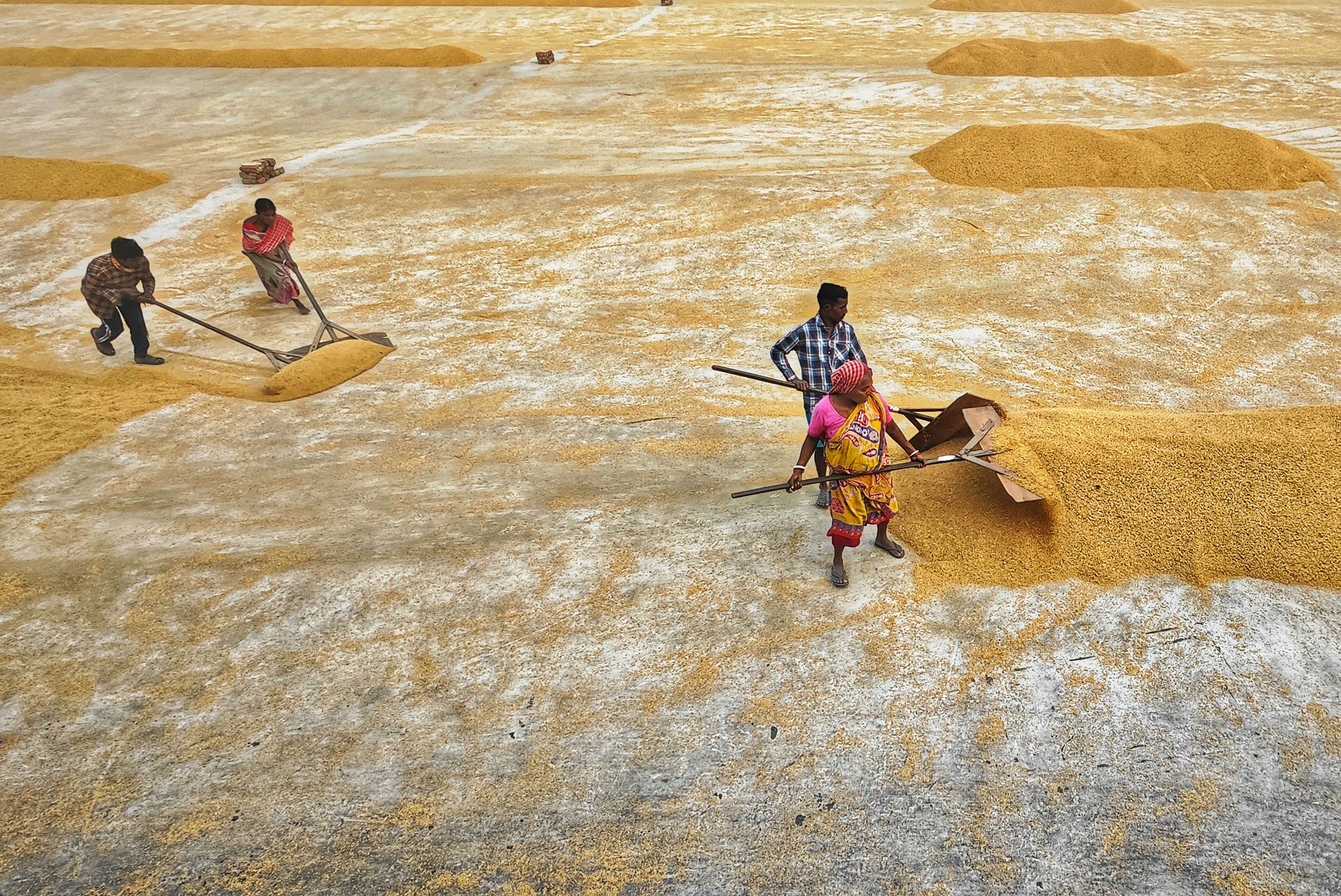 Photo by dibakar16roy