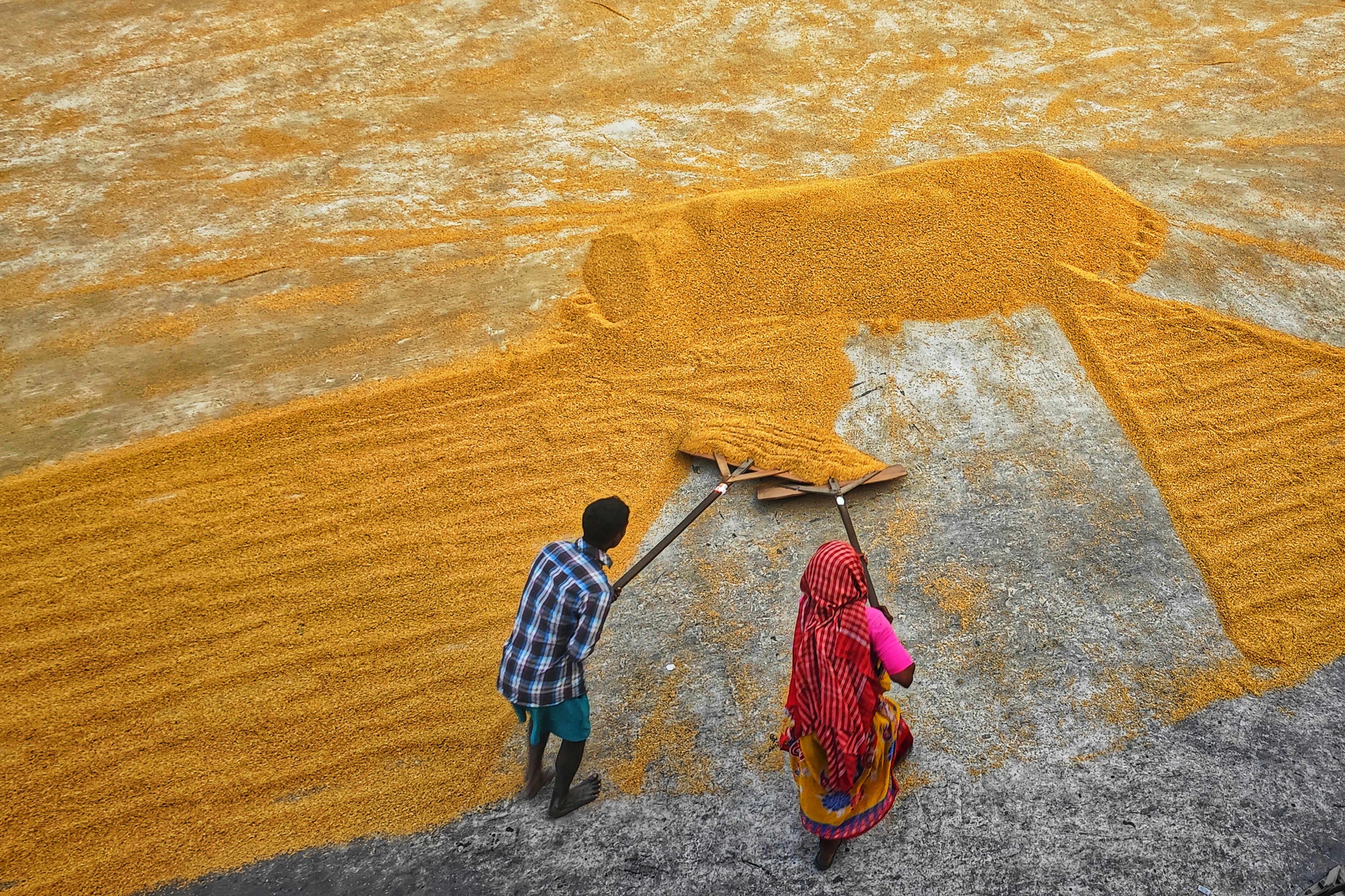 Photo by dibakar16roy