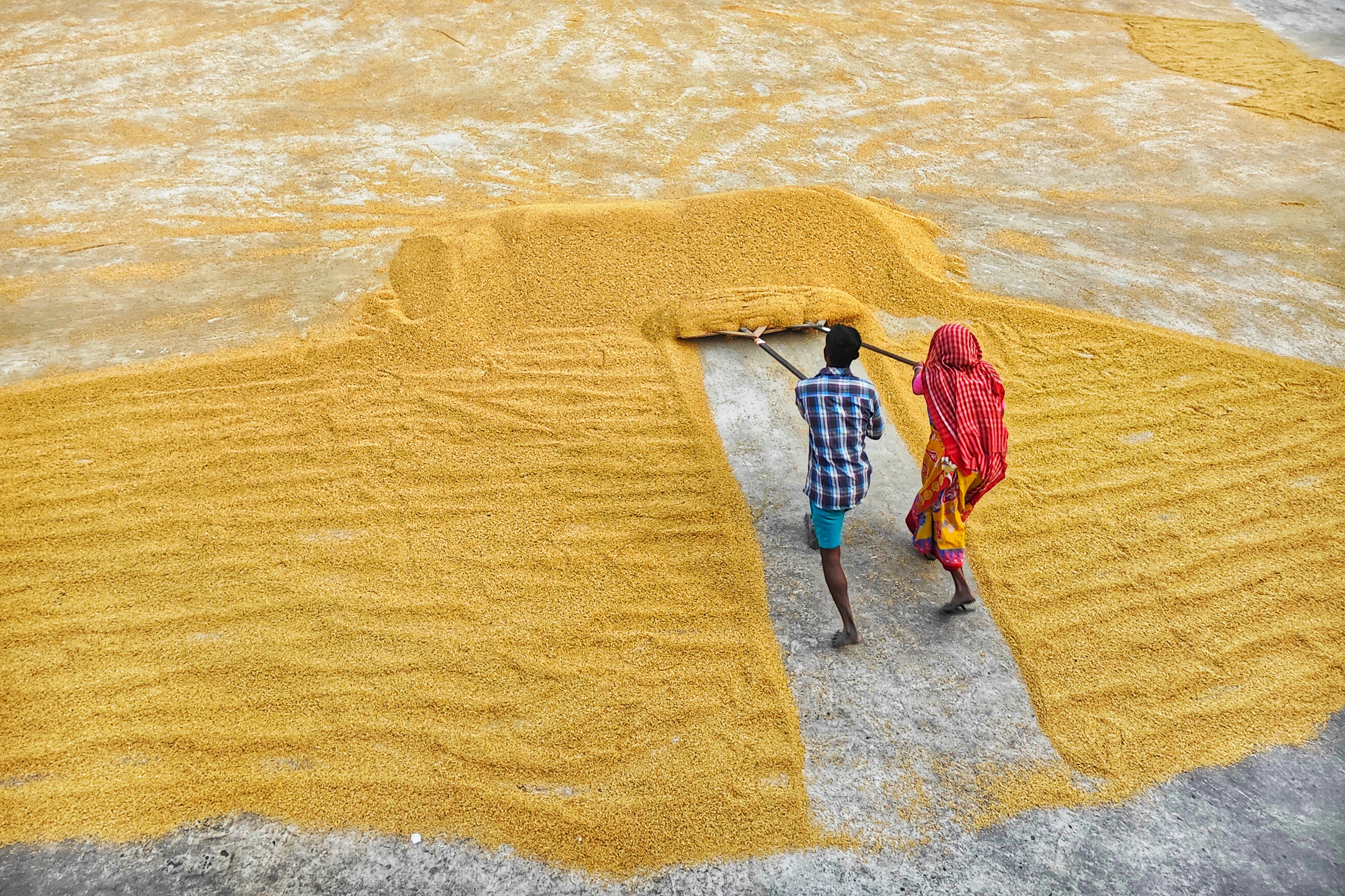 Photo by dibakar16roy