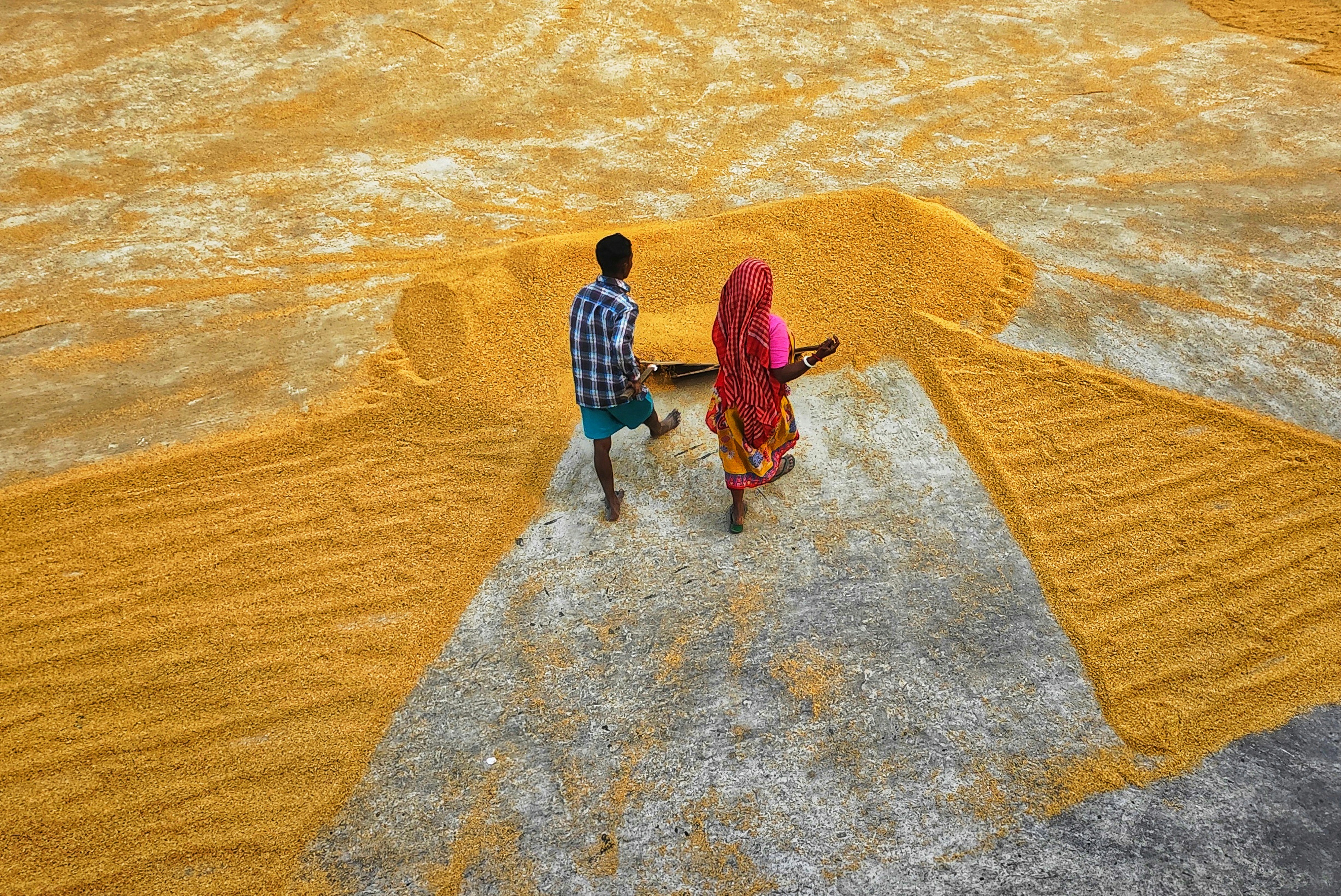 Photo by dibakar16roy