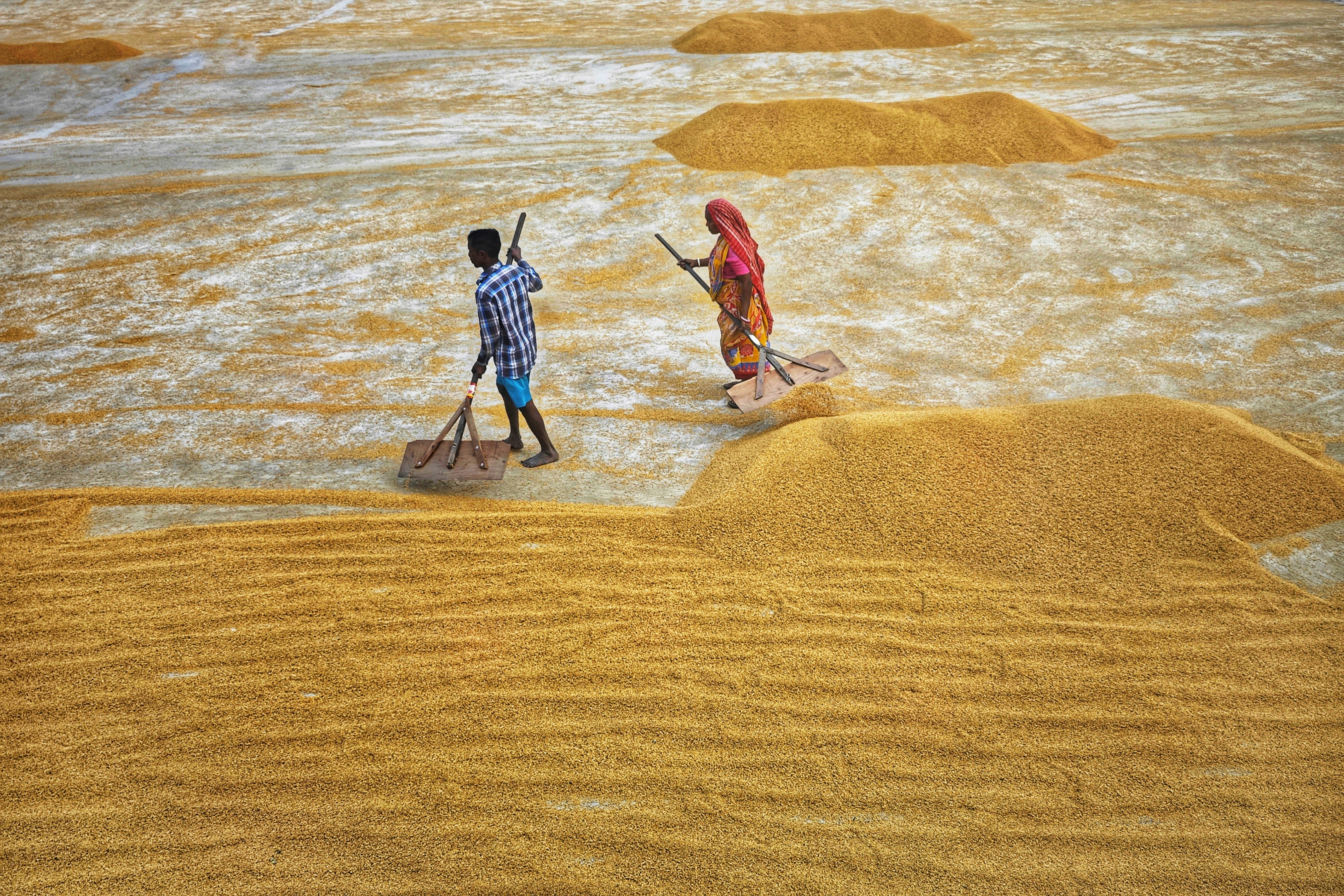 Photo by dibakar16roy