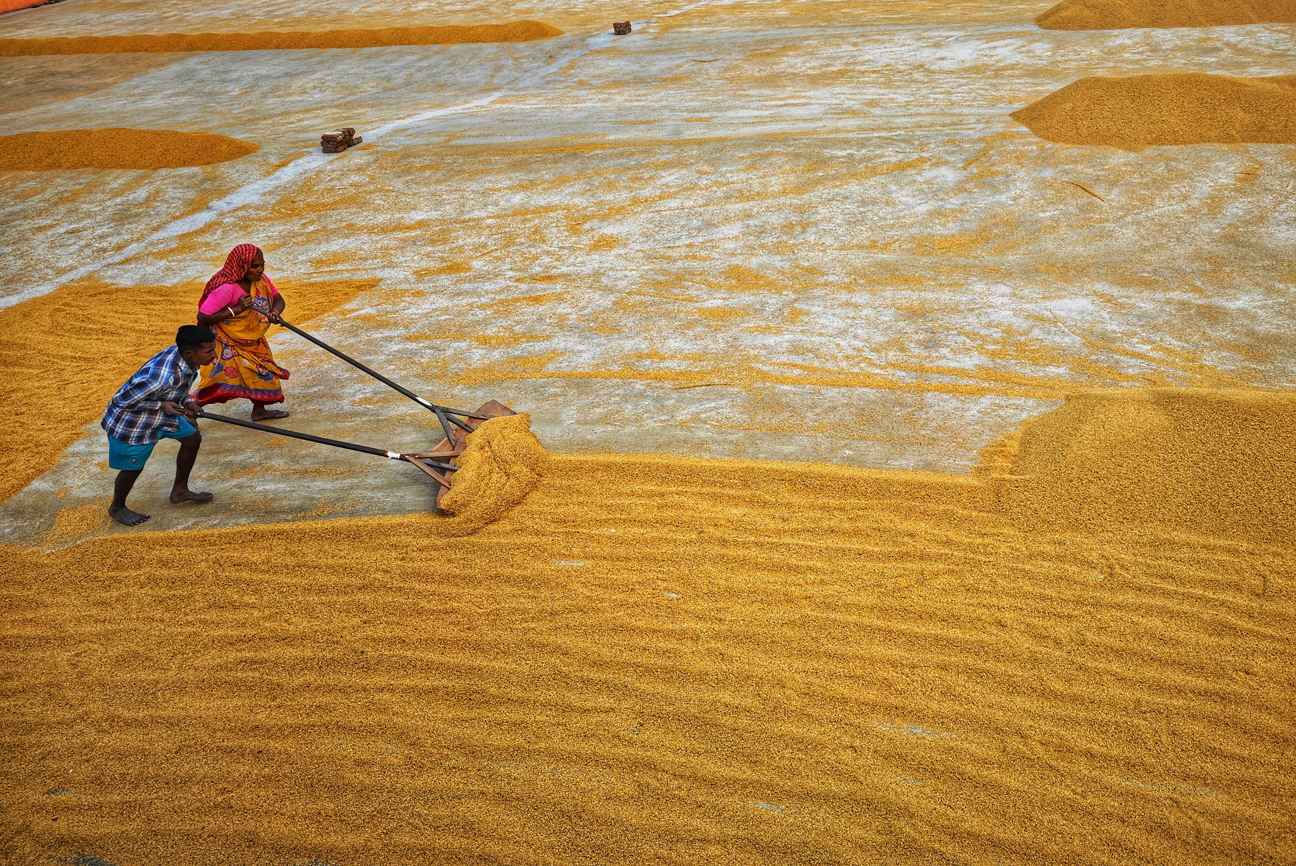 Photo by dibakar16roy