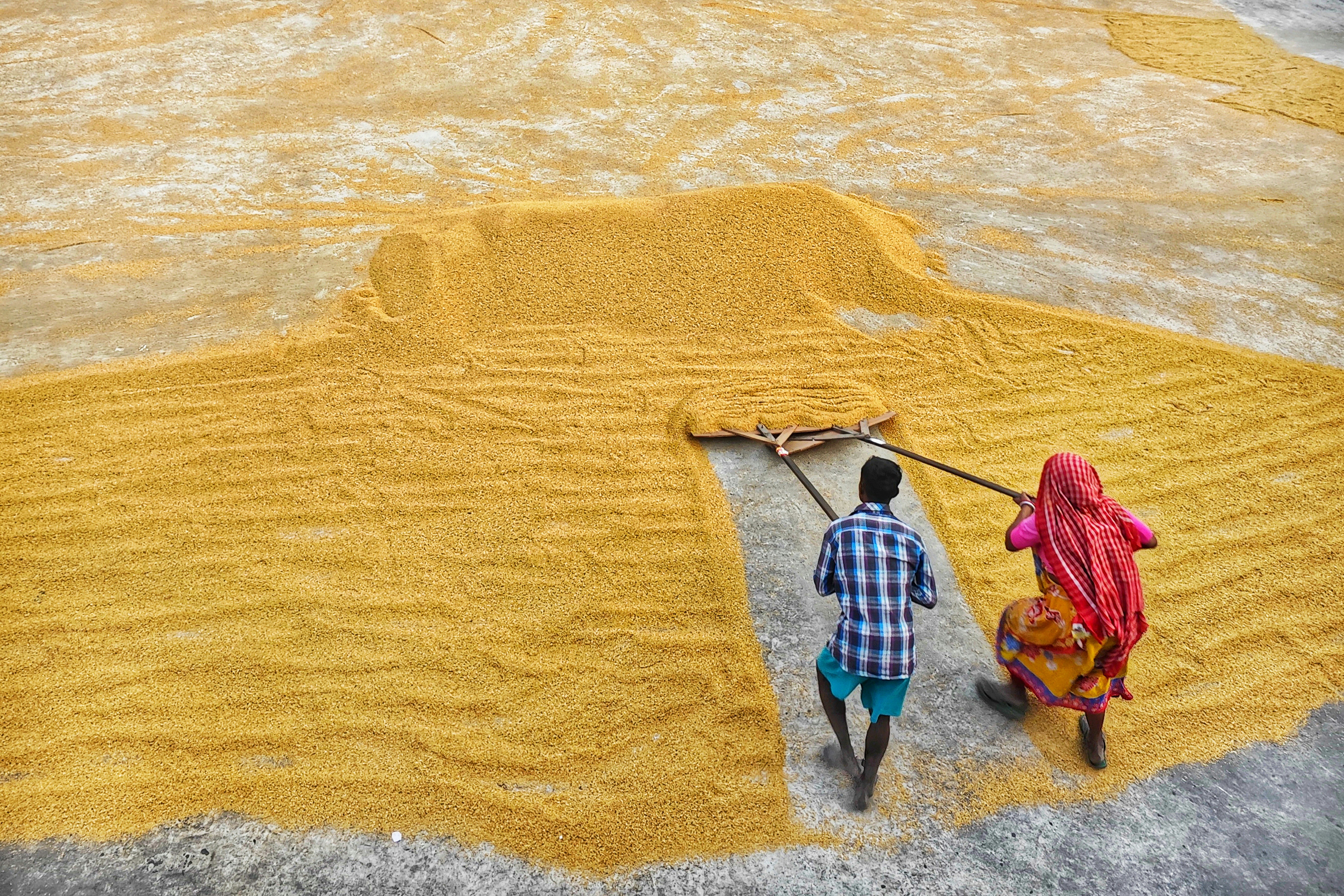 Photo by dibakar16roy