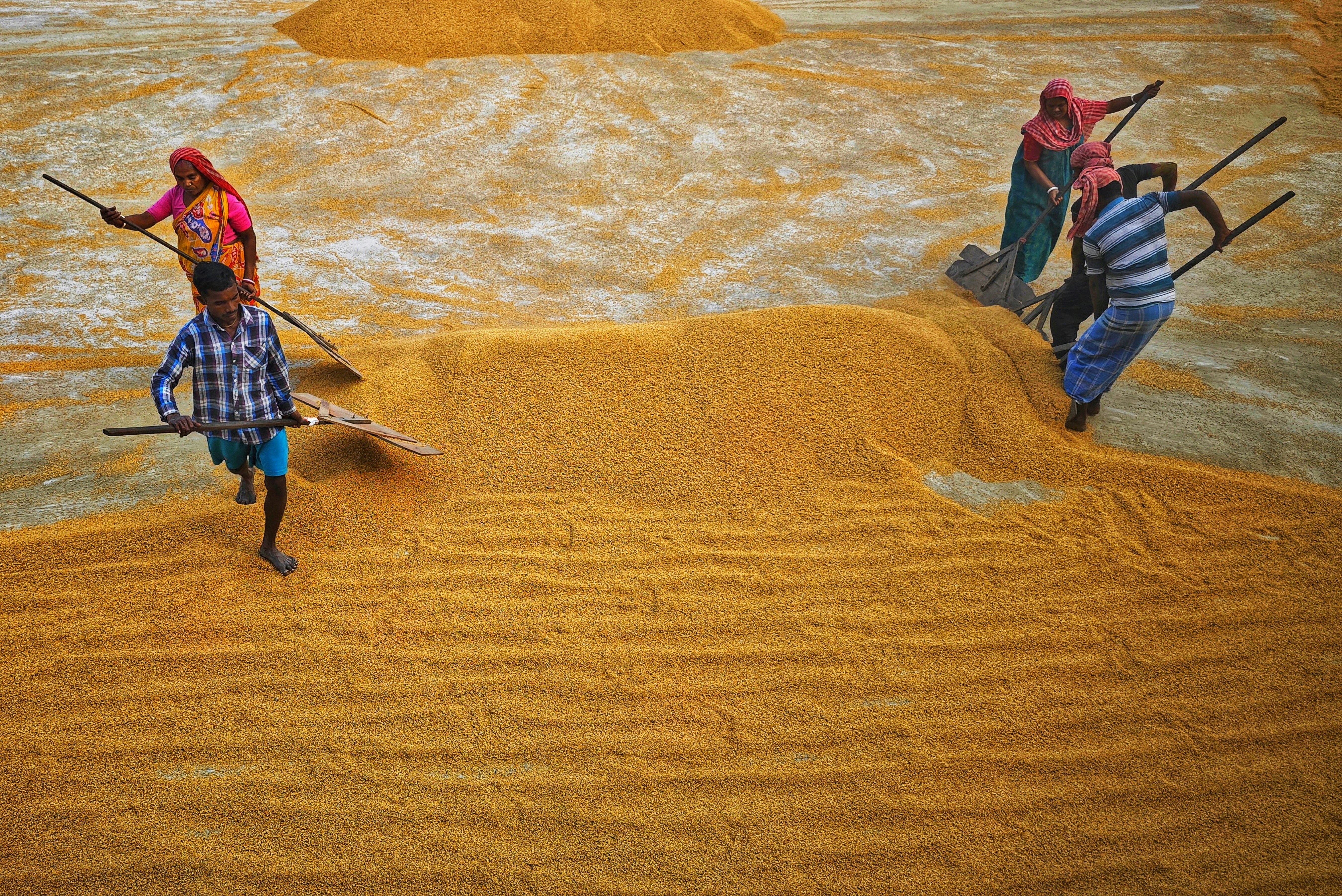 Photo by dibakar16roy