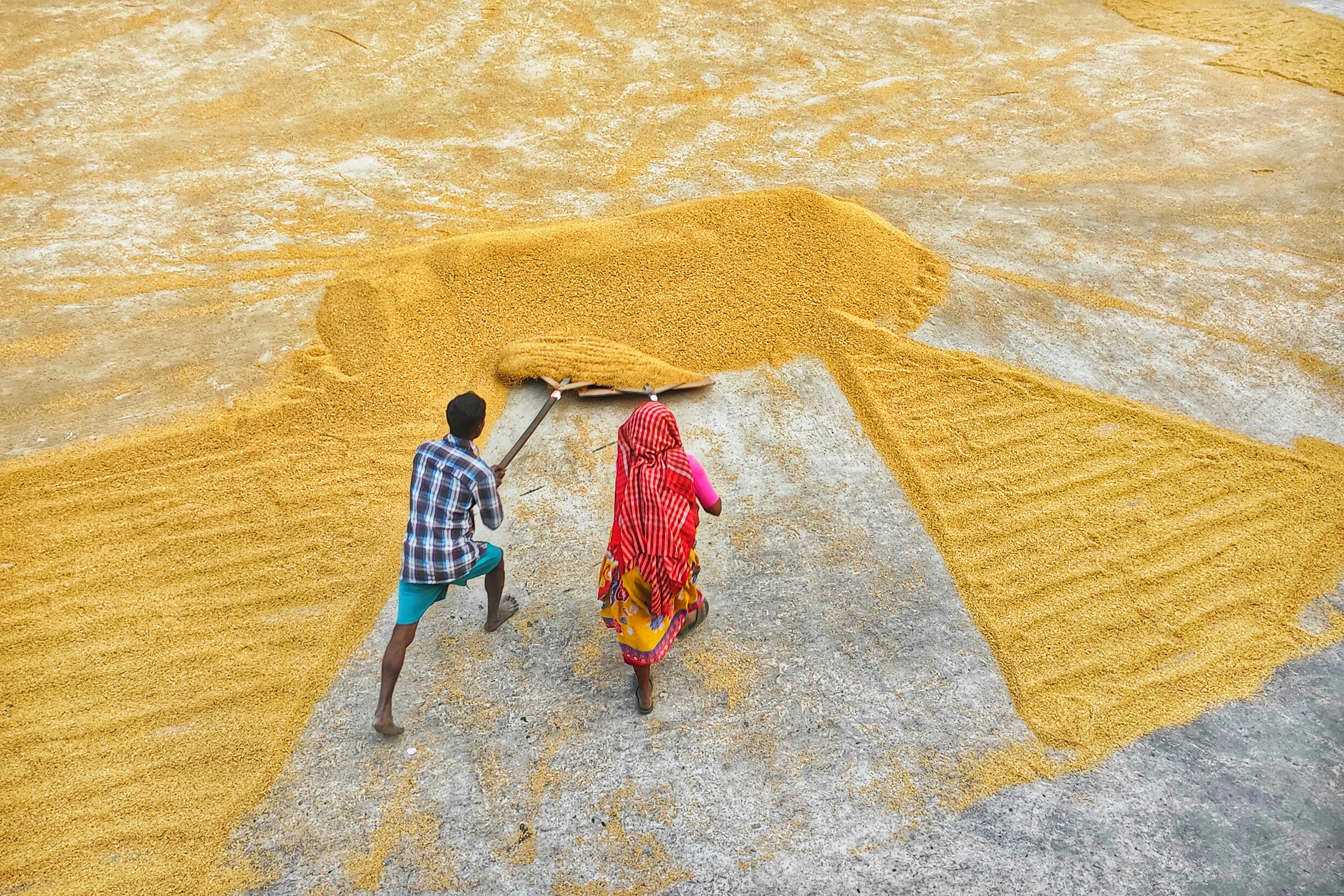 Photo by dibakar16roy