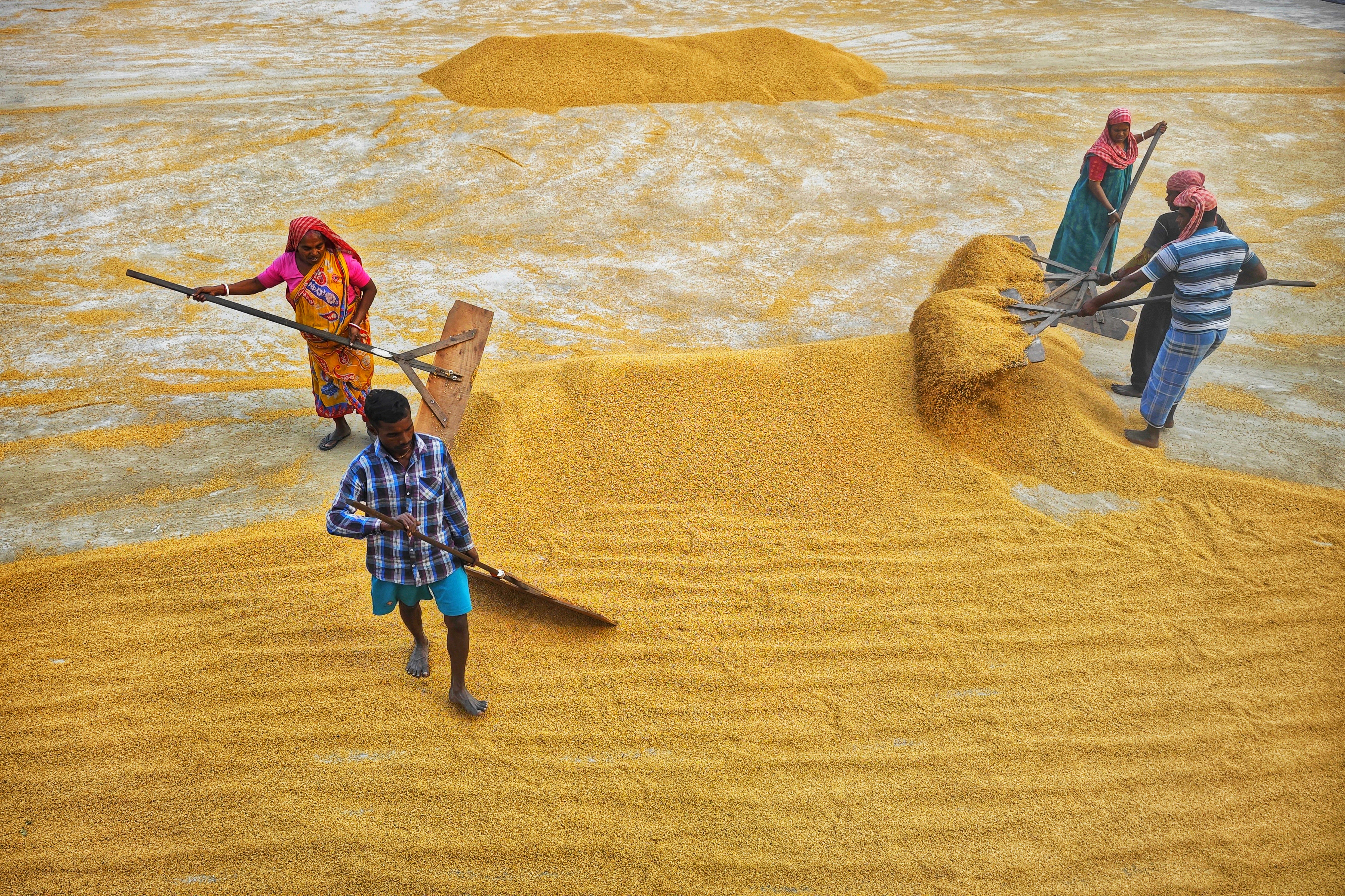 Photo by dibakar16roy