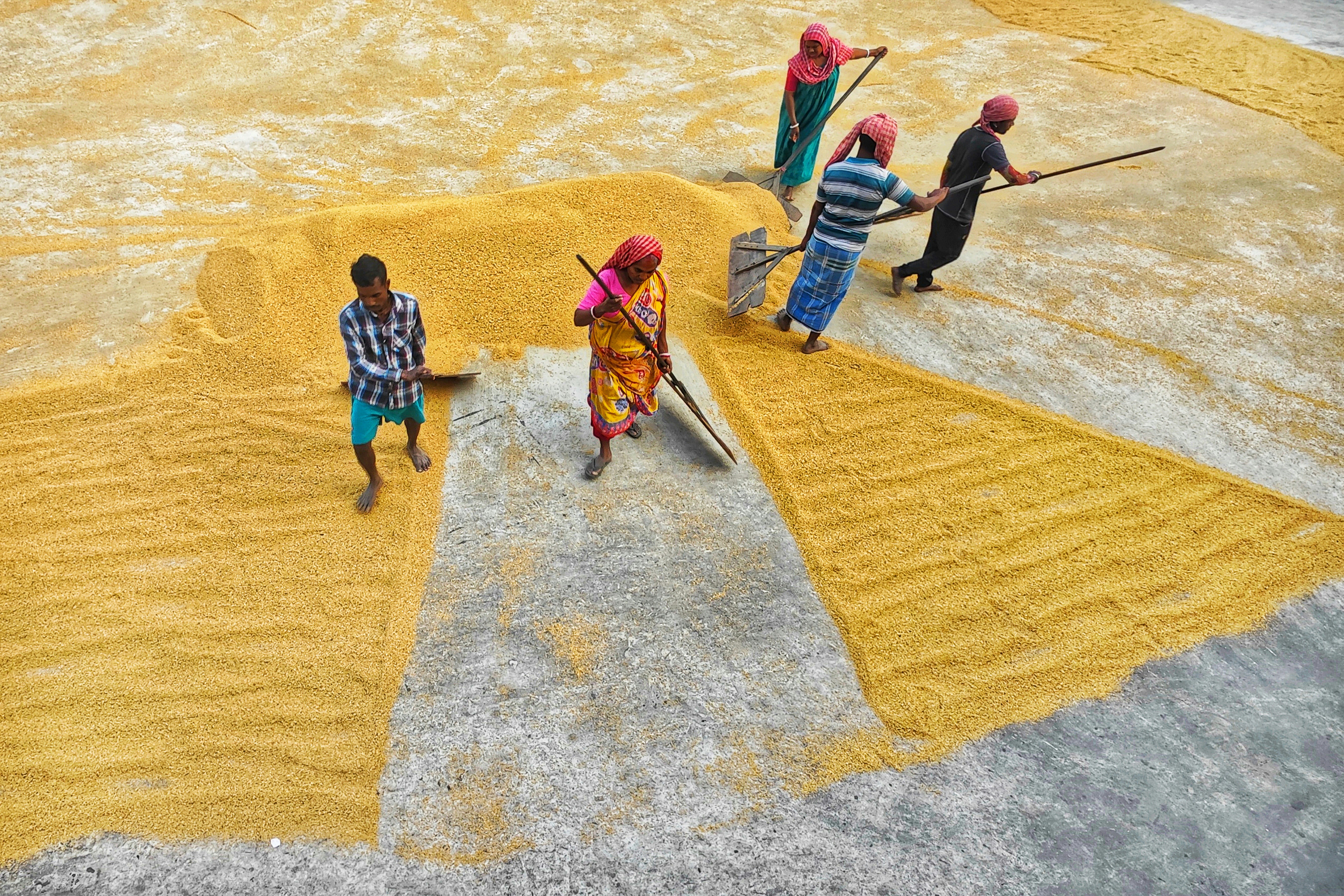 Photo by dibakar16roy