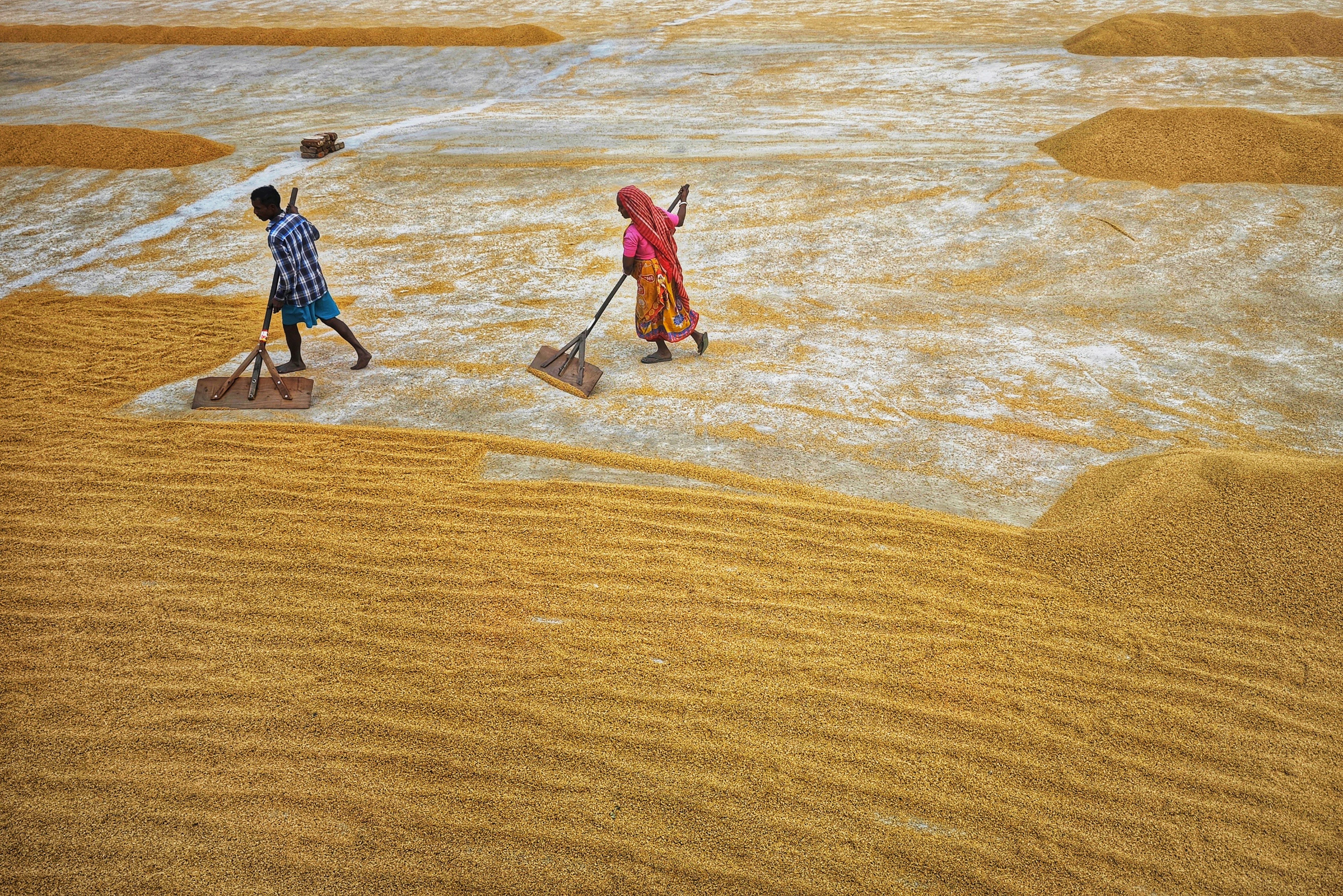 Photo by dibakar16roy