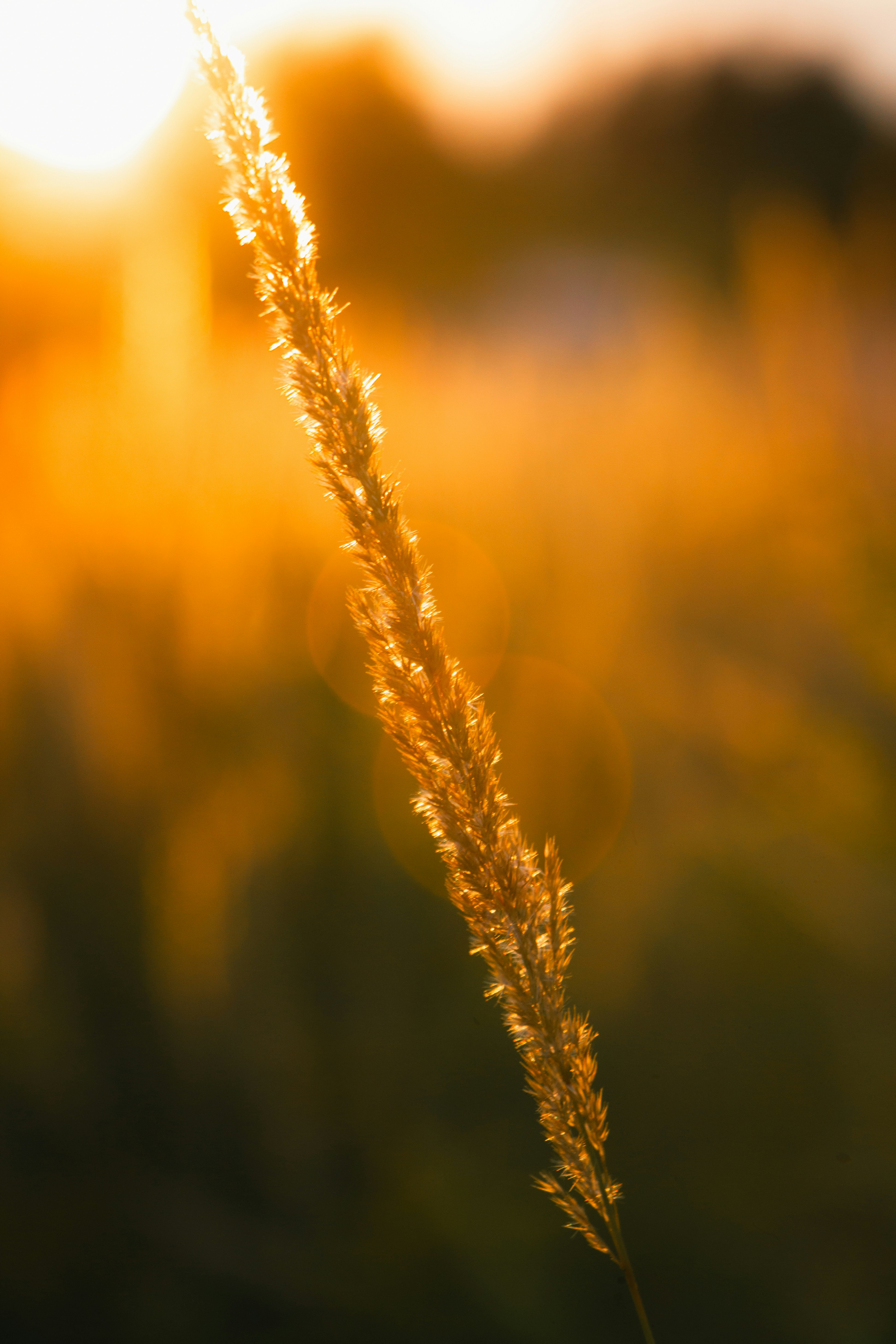 Photo by temapedchenko