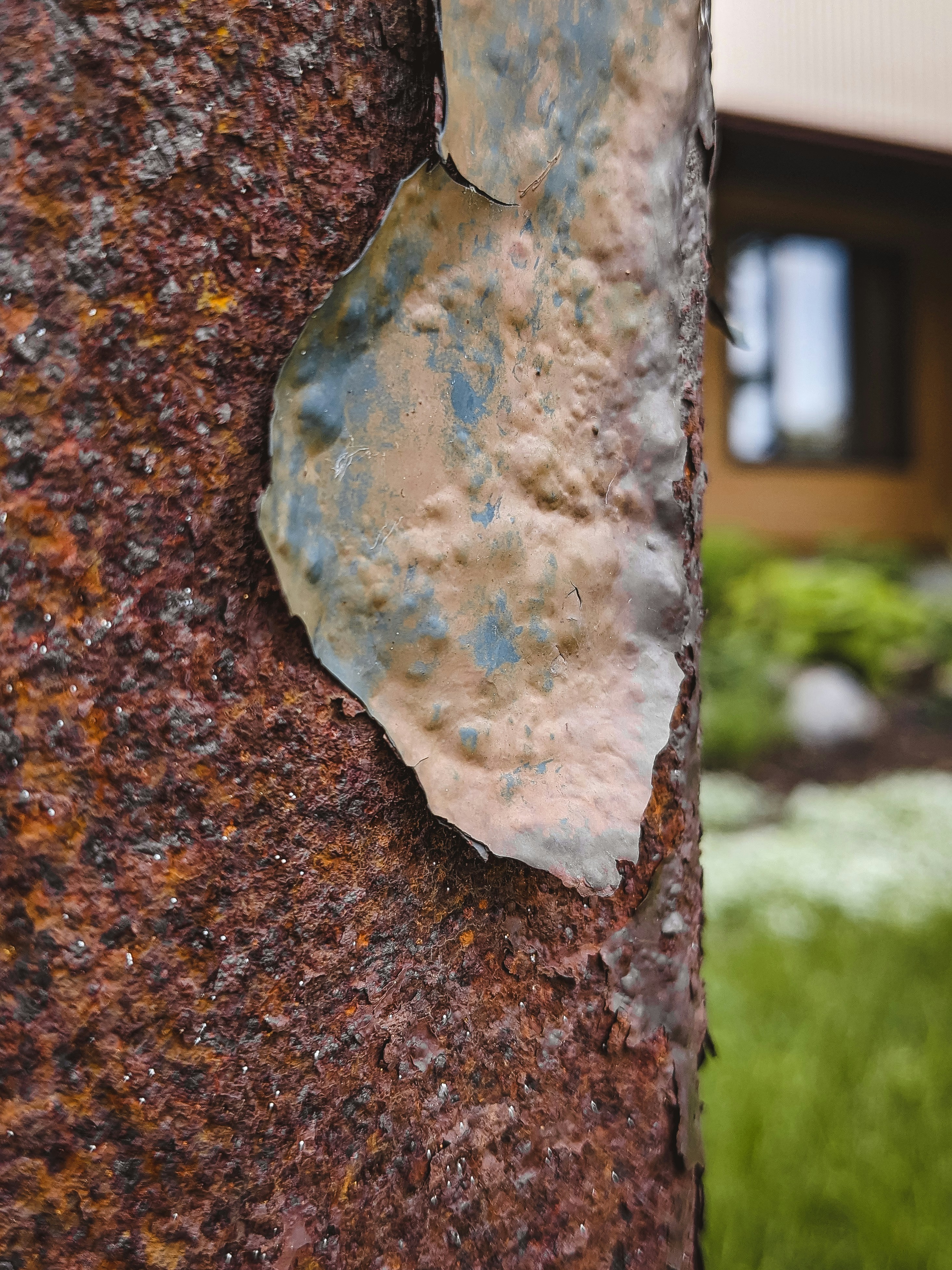 A close up of a tree with a piece of paper on it
