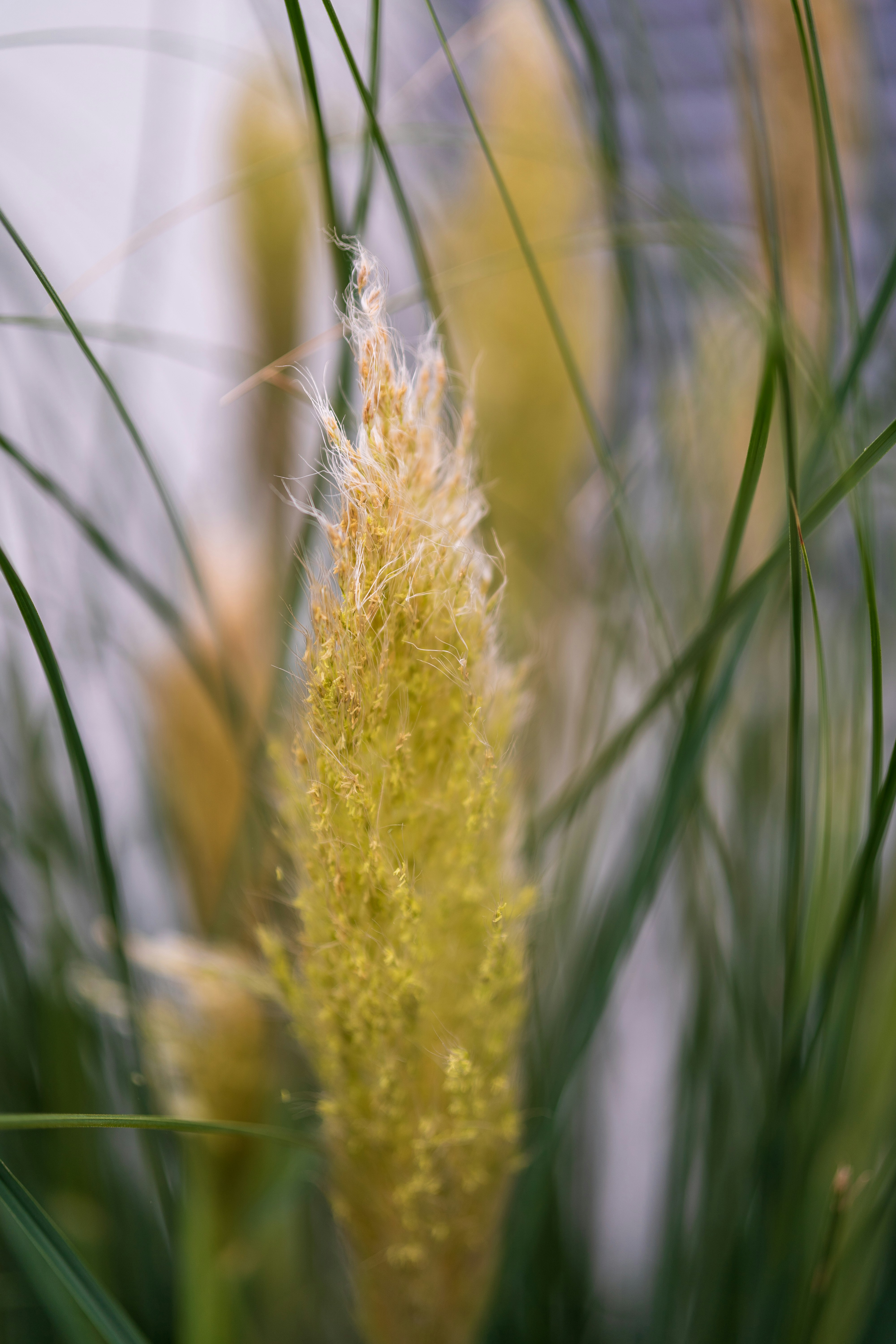 Photo by bangscreative