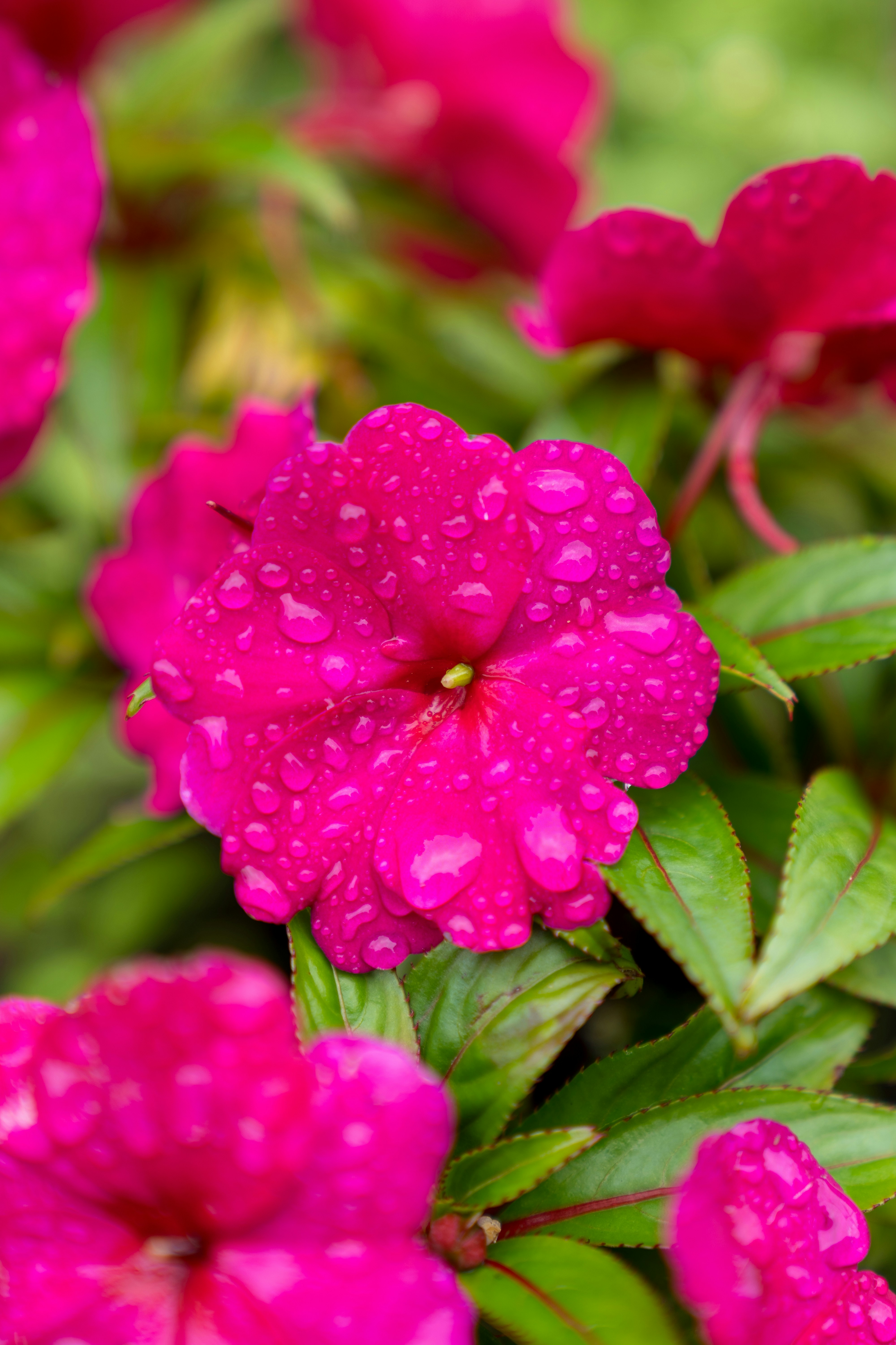 Photo by bangscreative