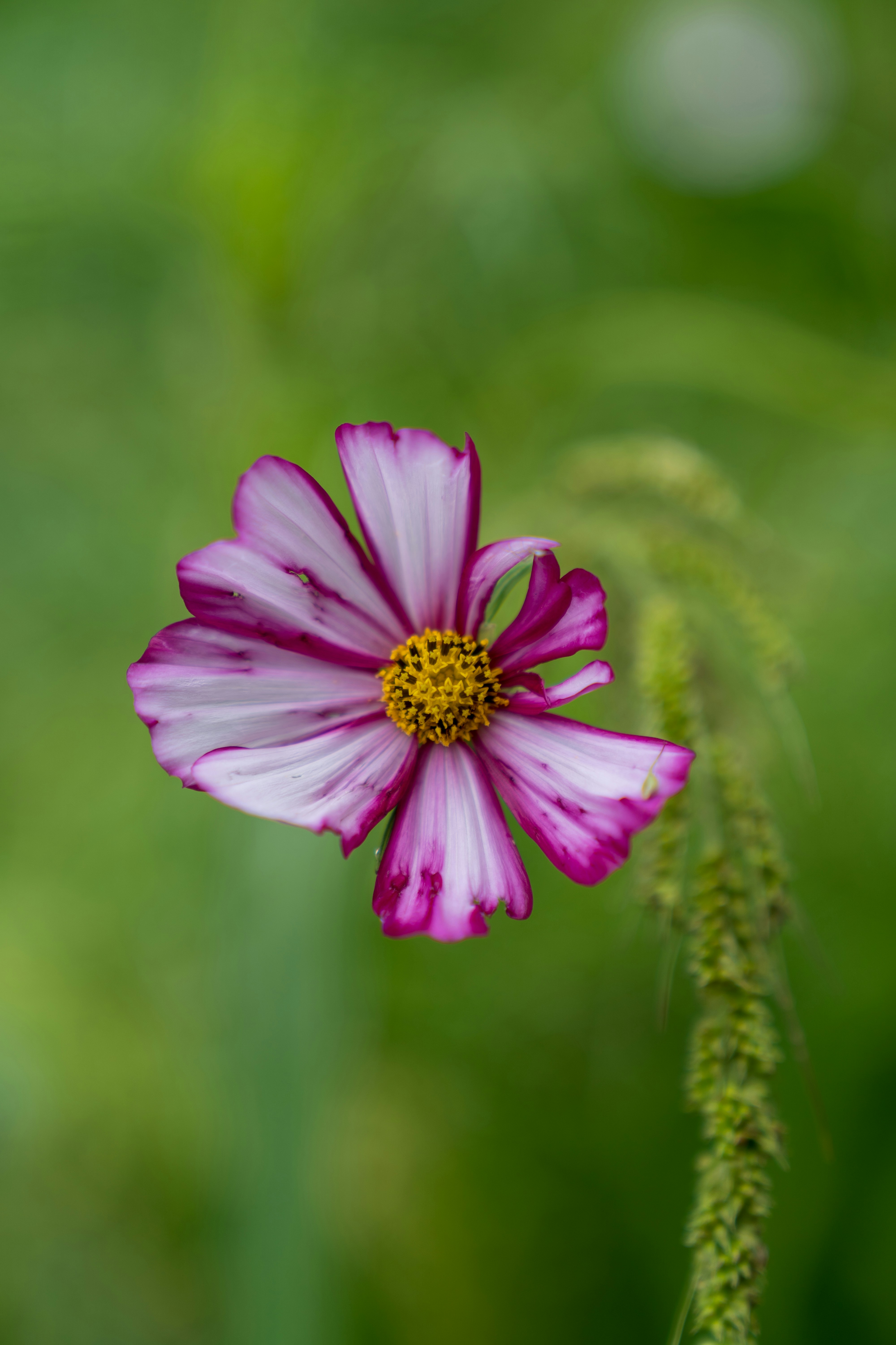 Photo by bangscreative