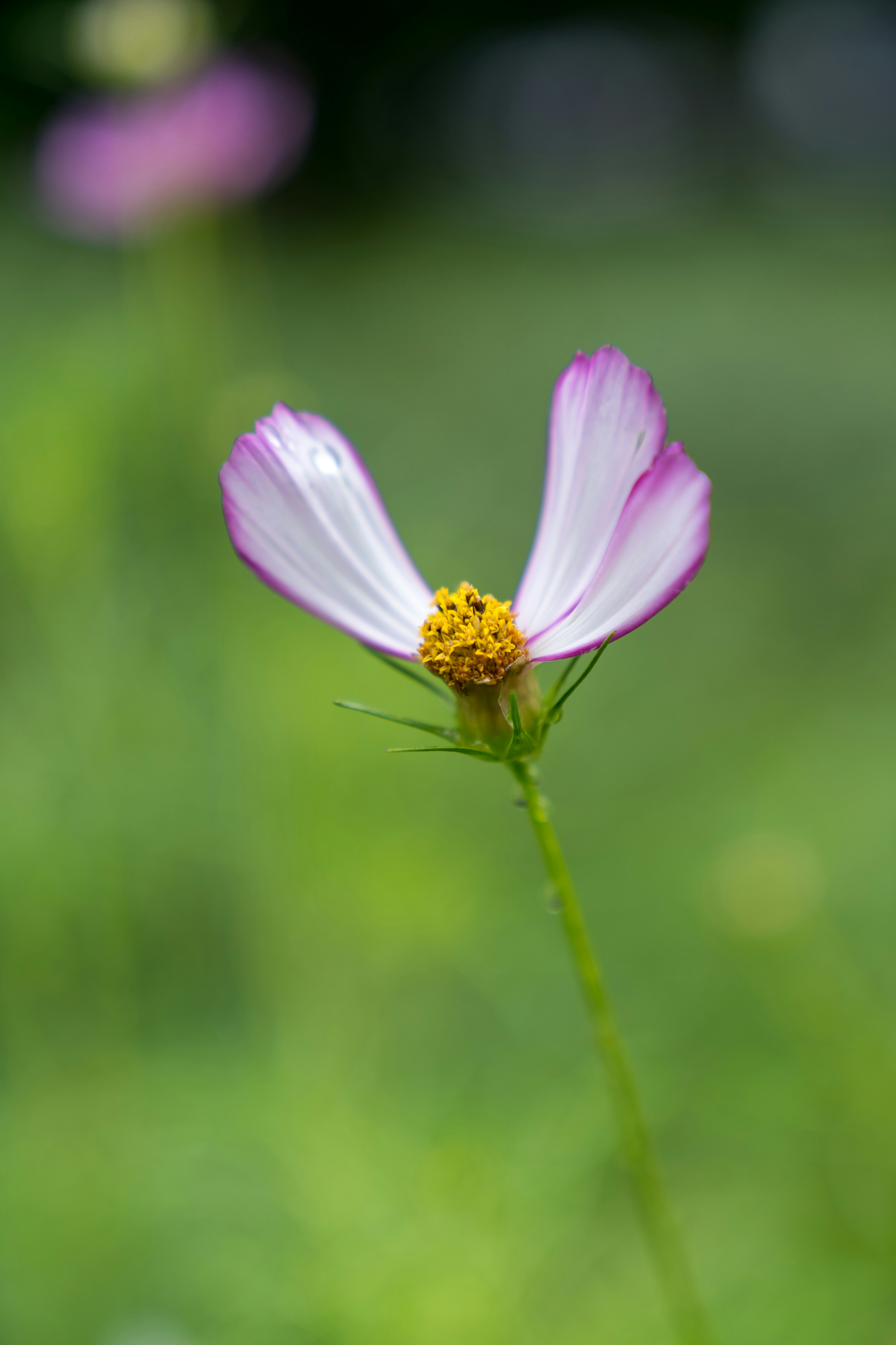 Photo by bangscreative