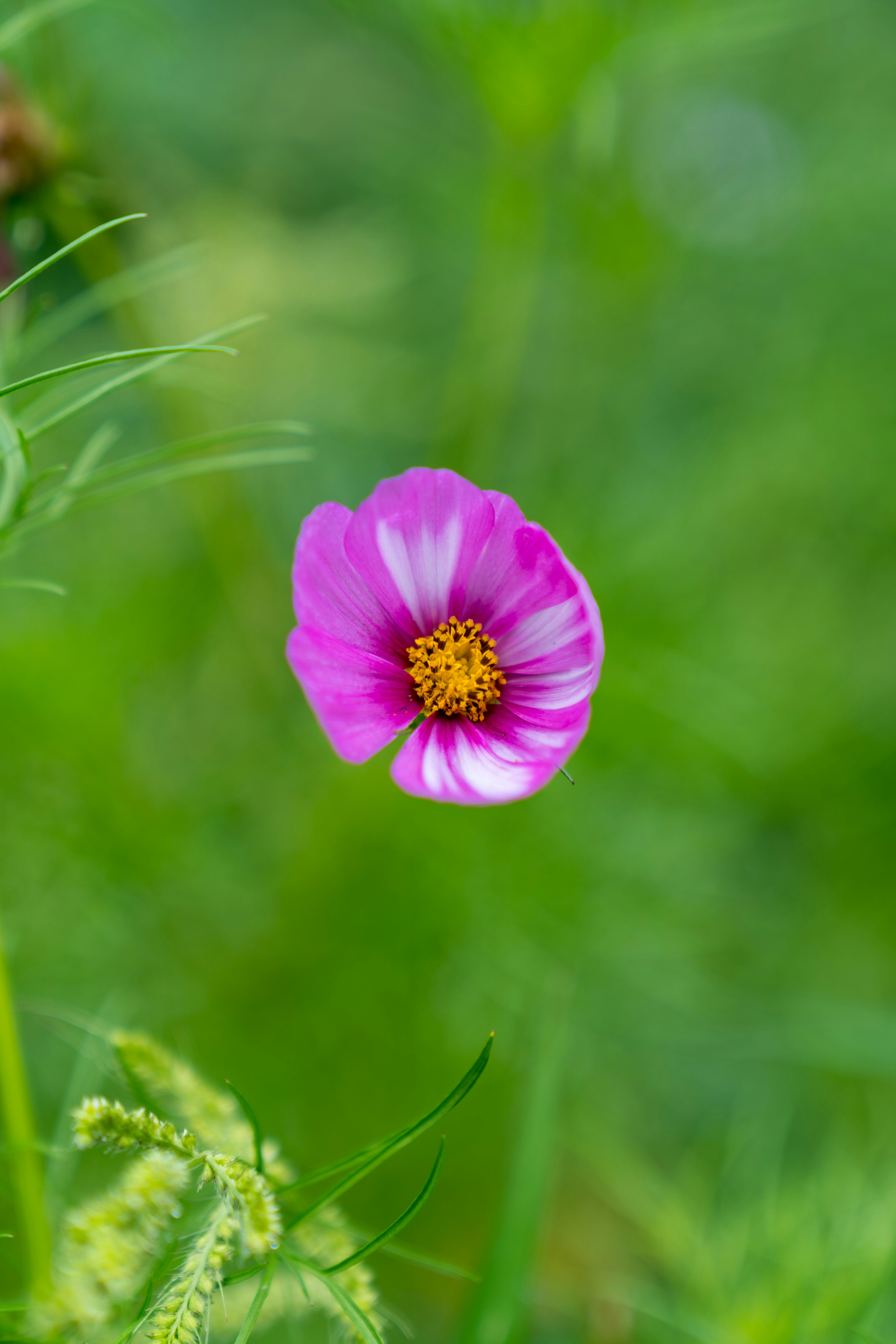 Photo by bangscreative