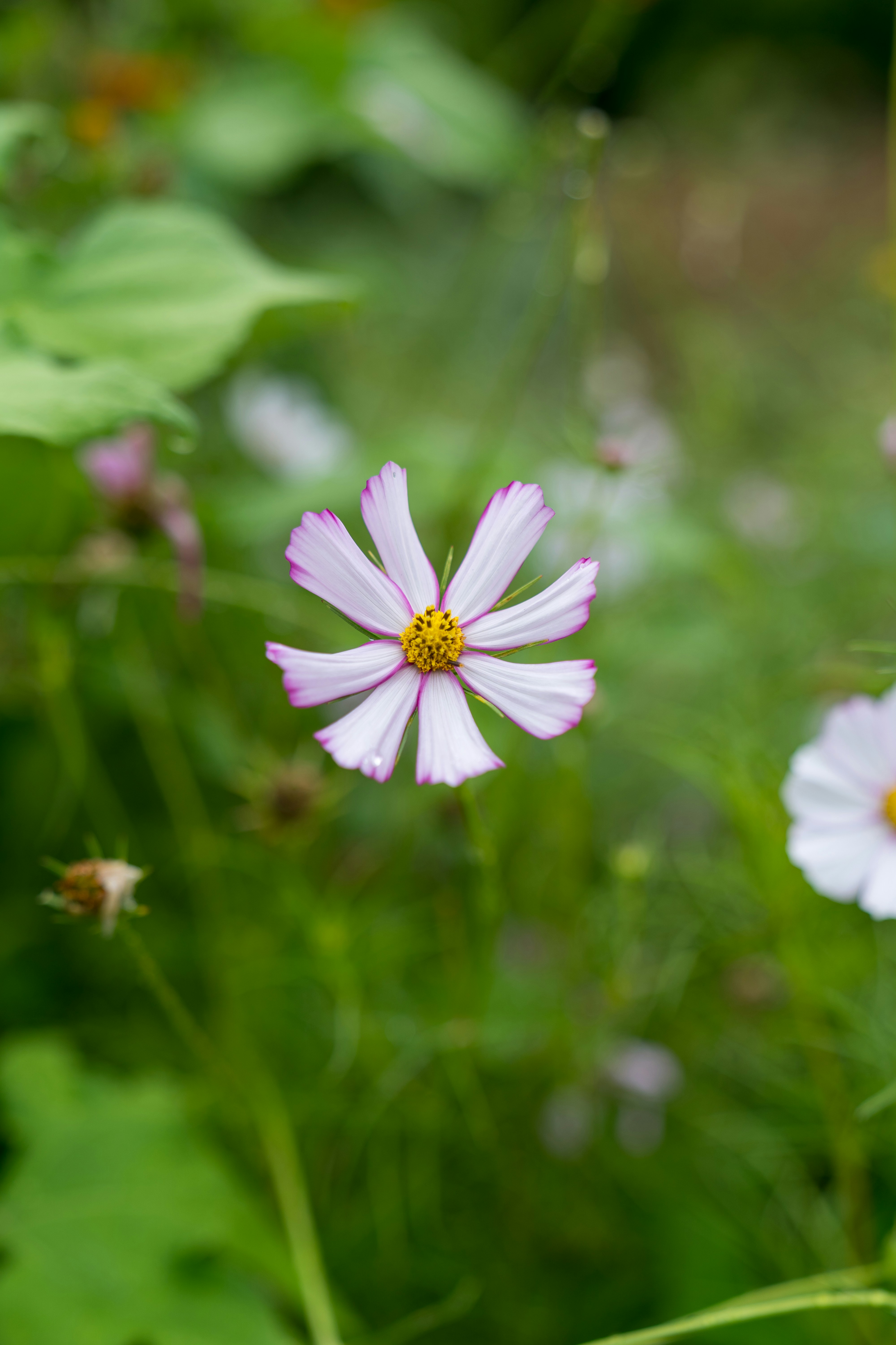 Photo by bangscreative