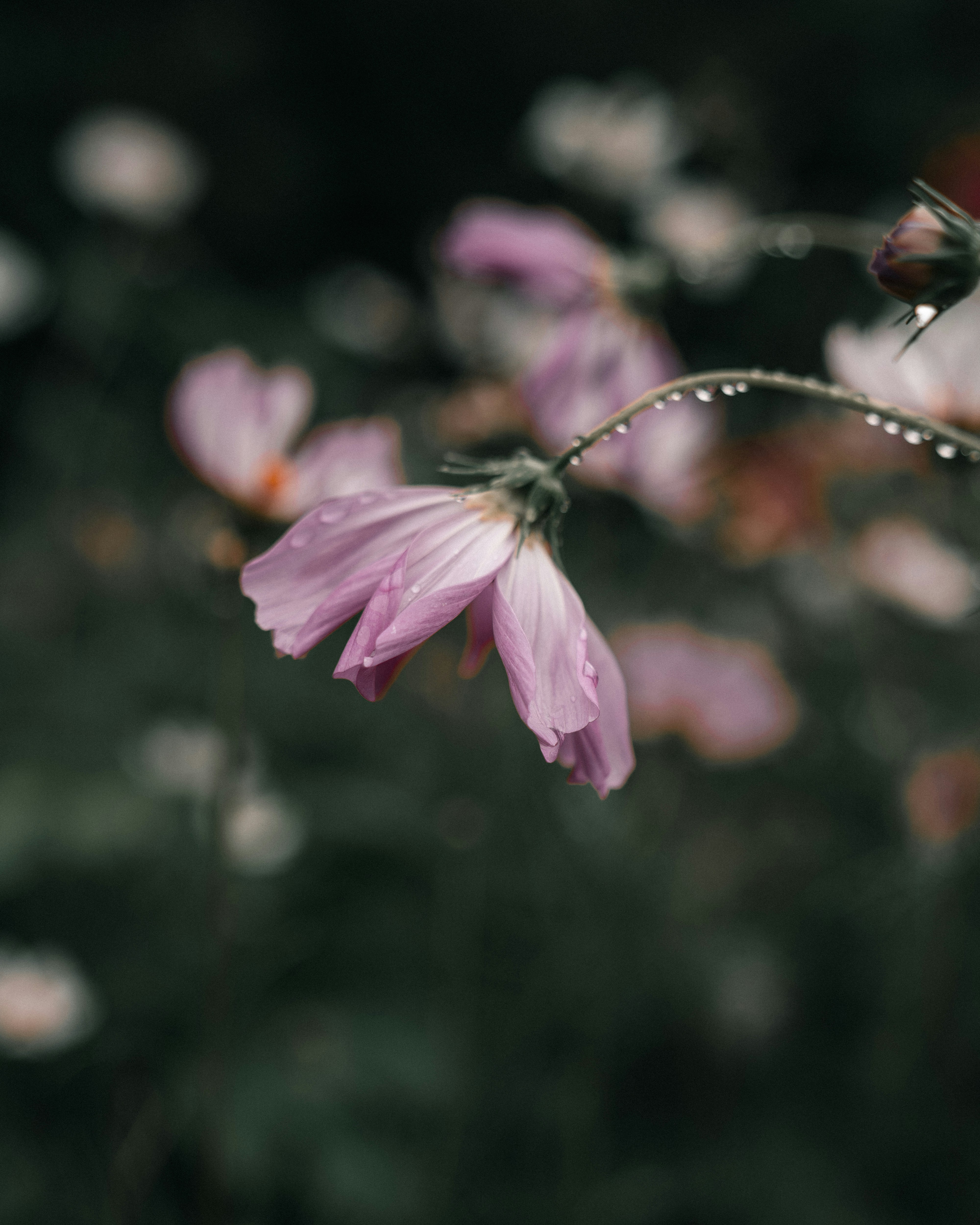 Photo by bangscreative