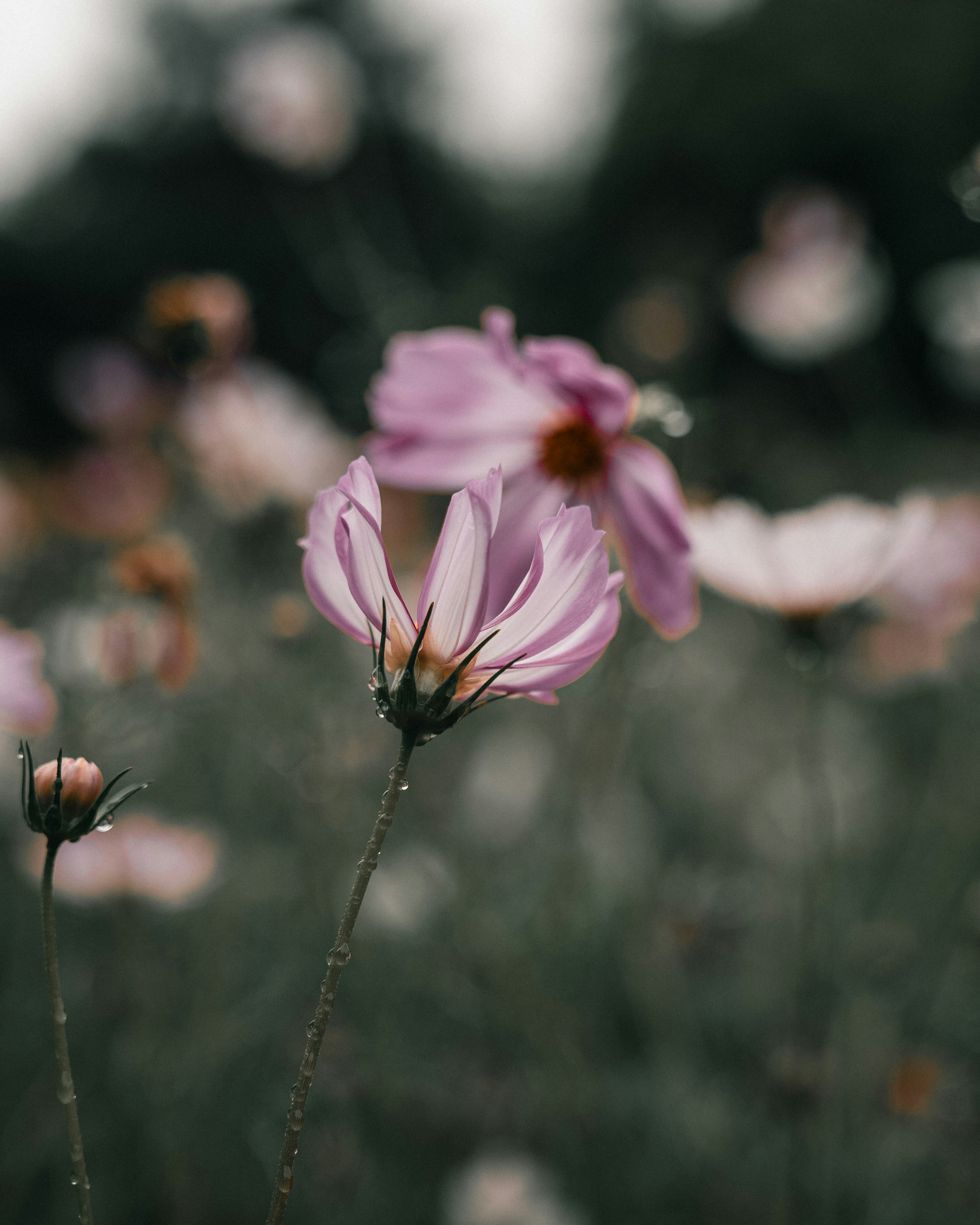 Photo by bangscreative