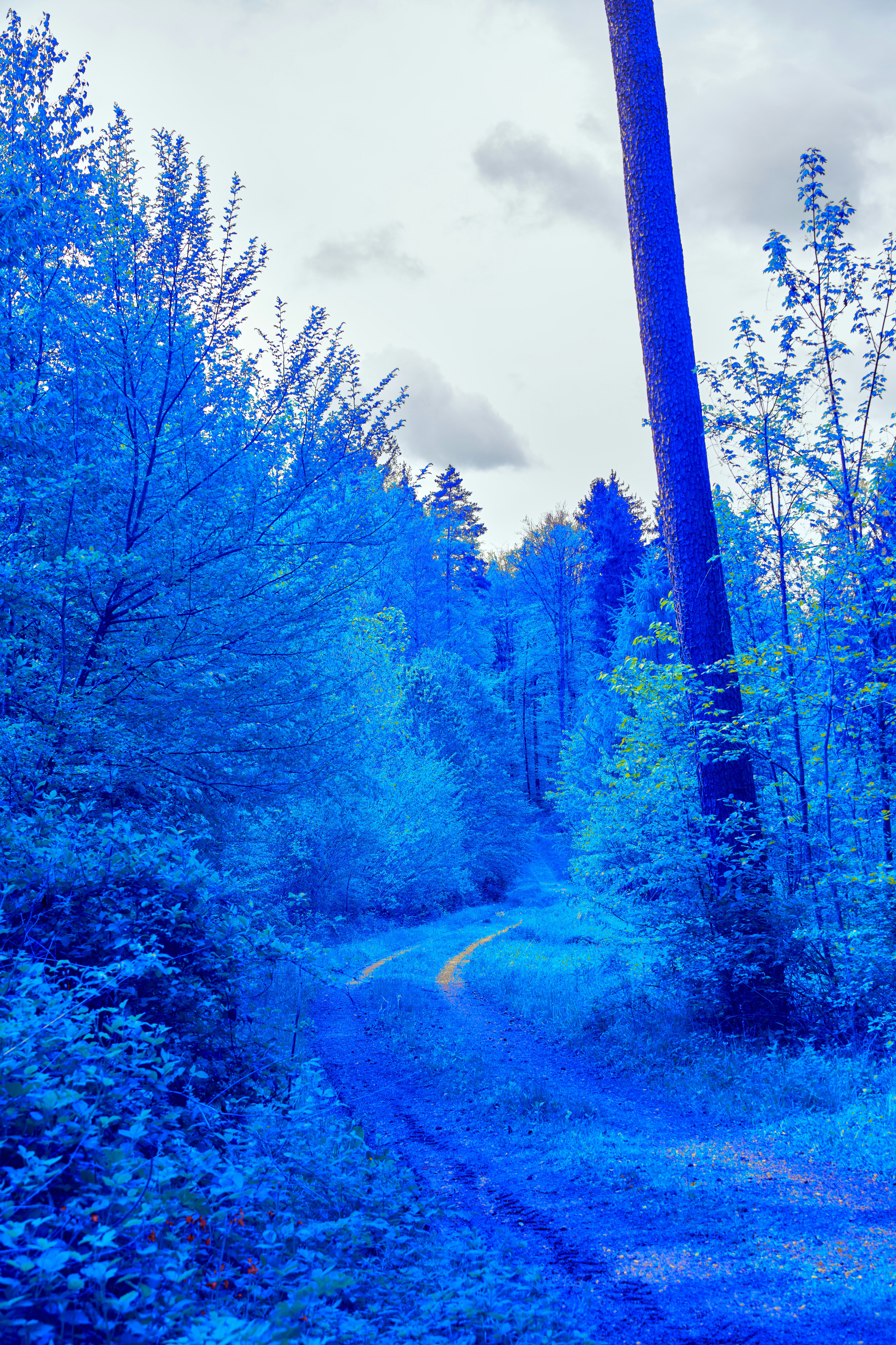 Photo by wolfgang_hasselmann