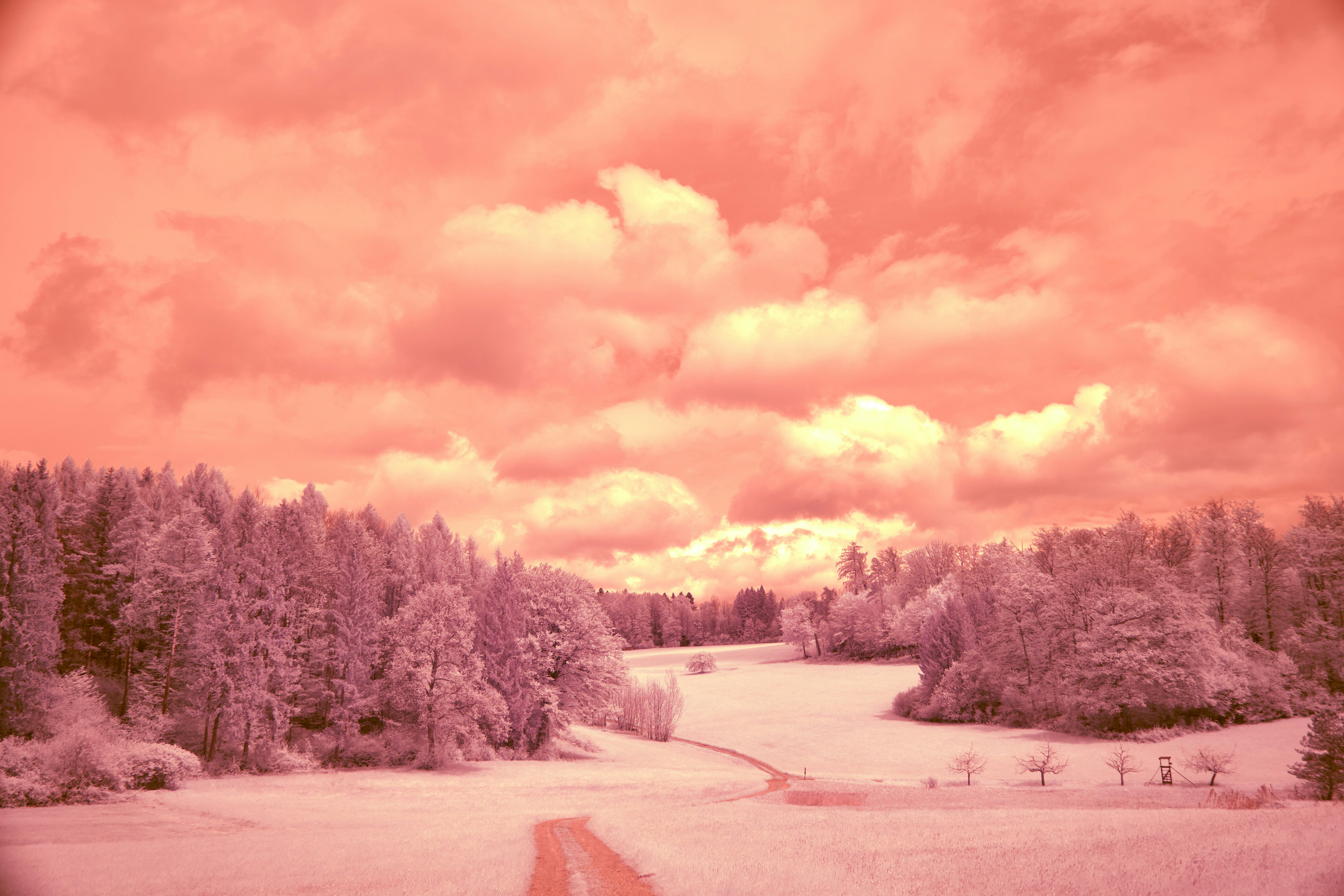 Photo by wolfgang_hasselmann