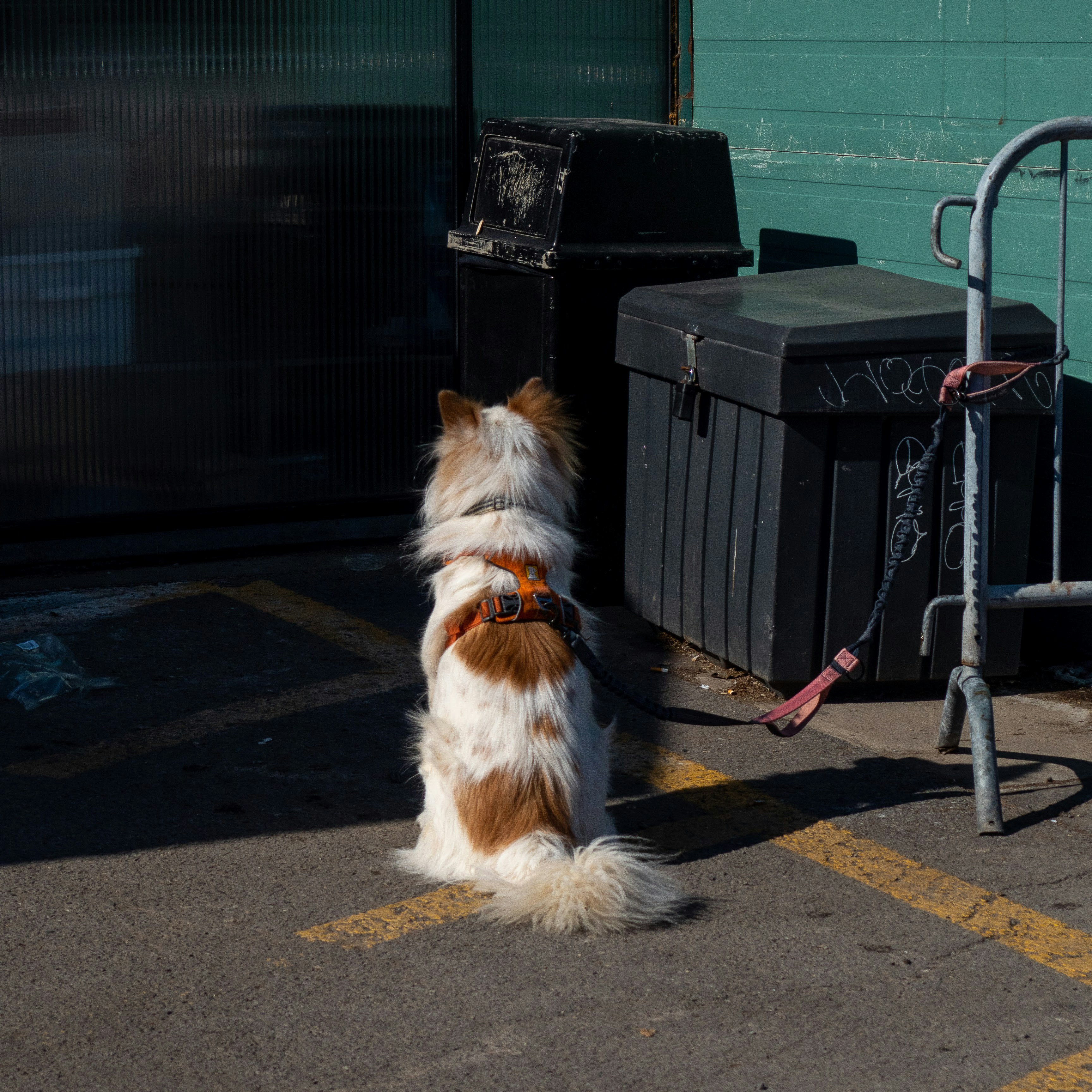 Photo by bisnakstudio