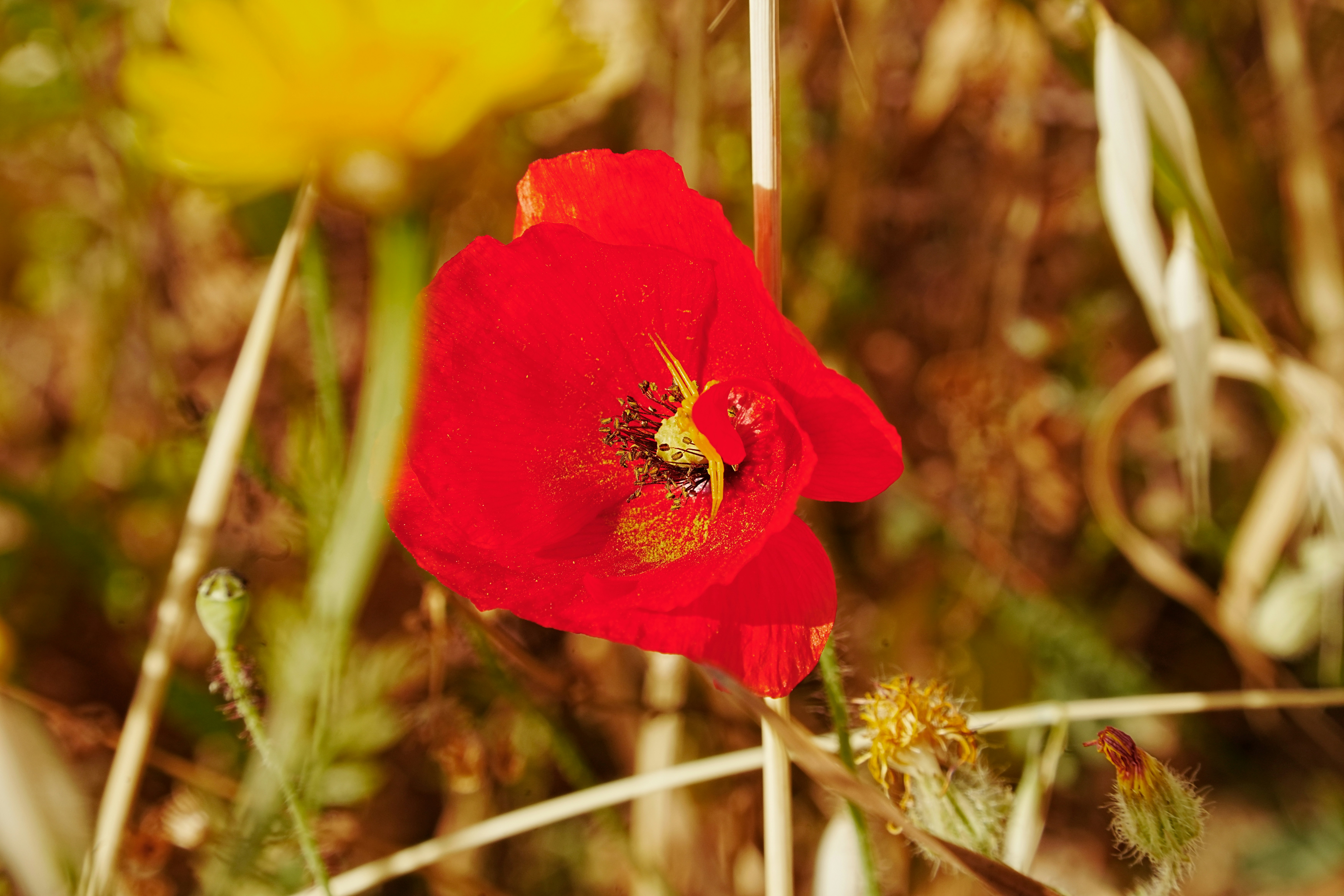Ein Atmenzug, mit dem eine Reise begann