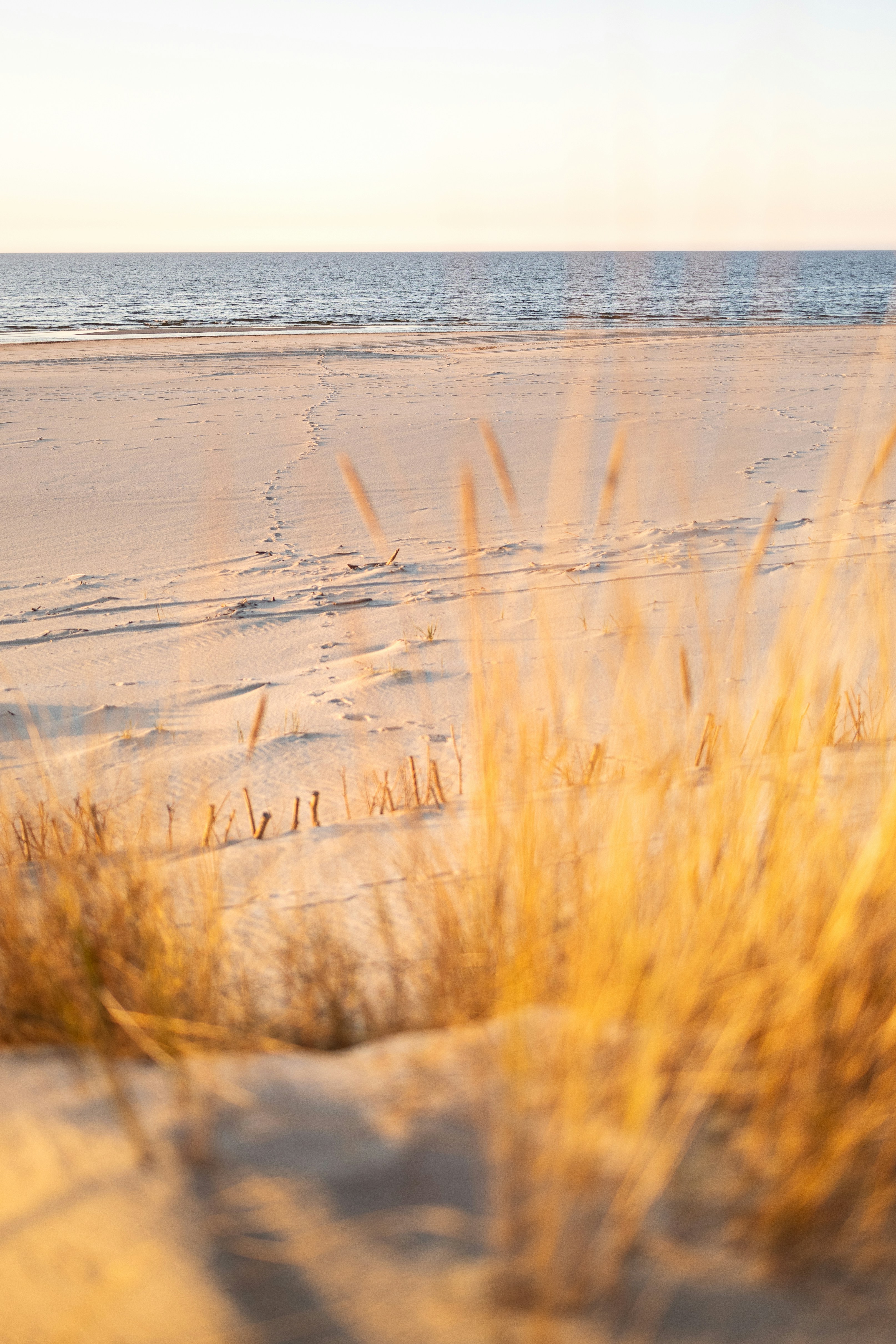 Photo by marekpiwnicki