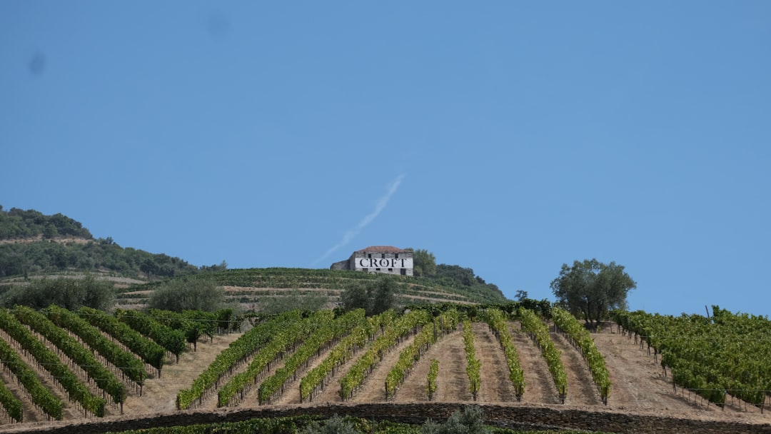 A hill with a house on top of it,