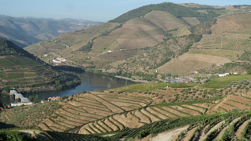 De Douro slingert door de vallei