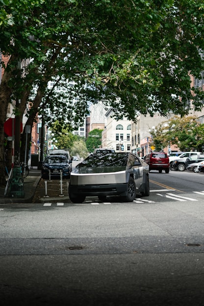 A car parked on the side of a street next to a tree