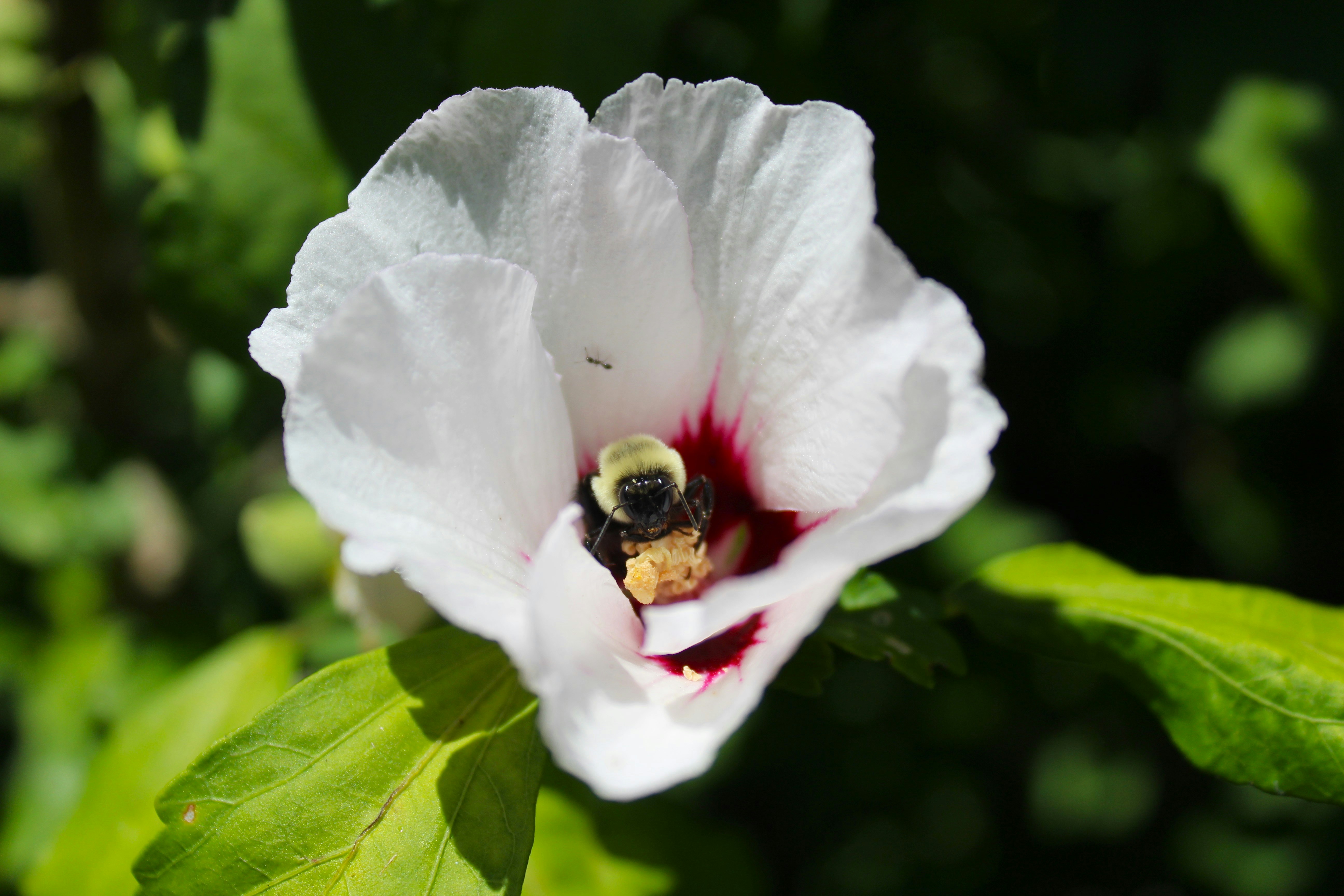 Photo by tylerohiobutler