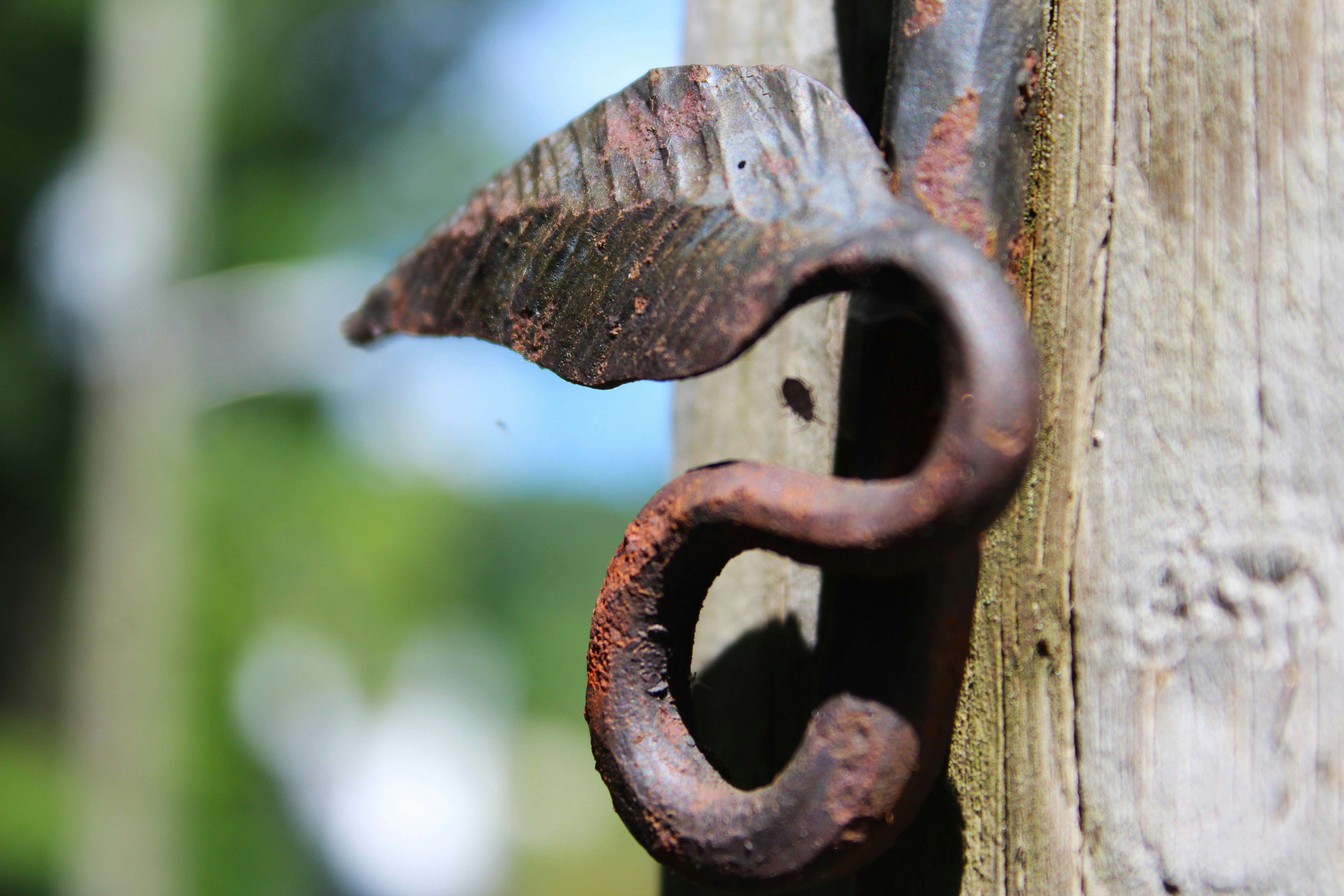 Photo by tylerohiobutler