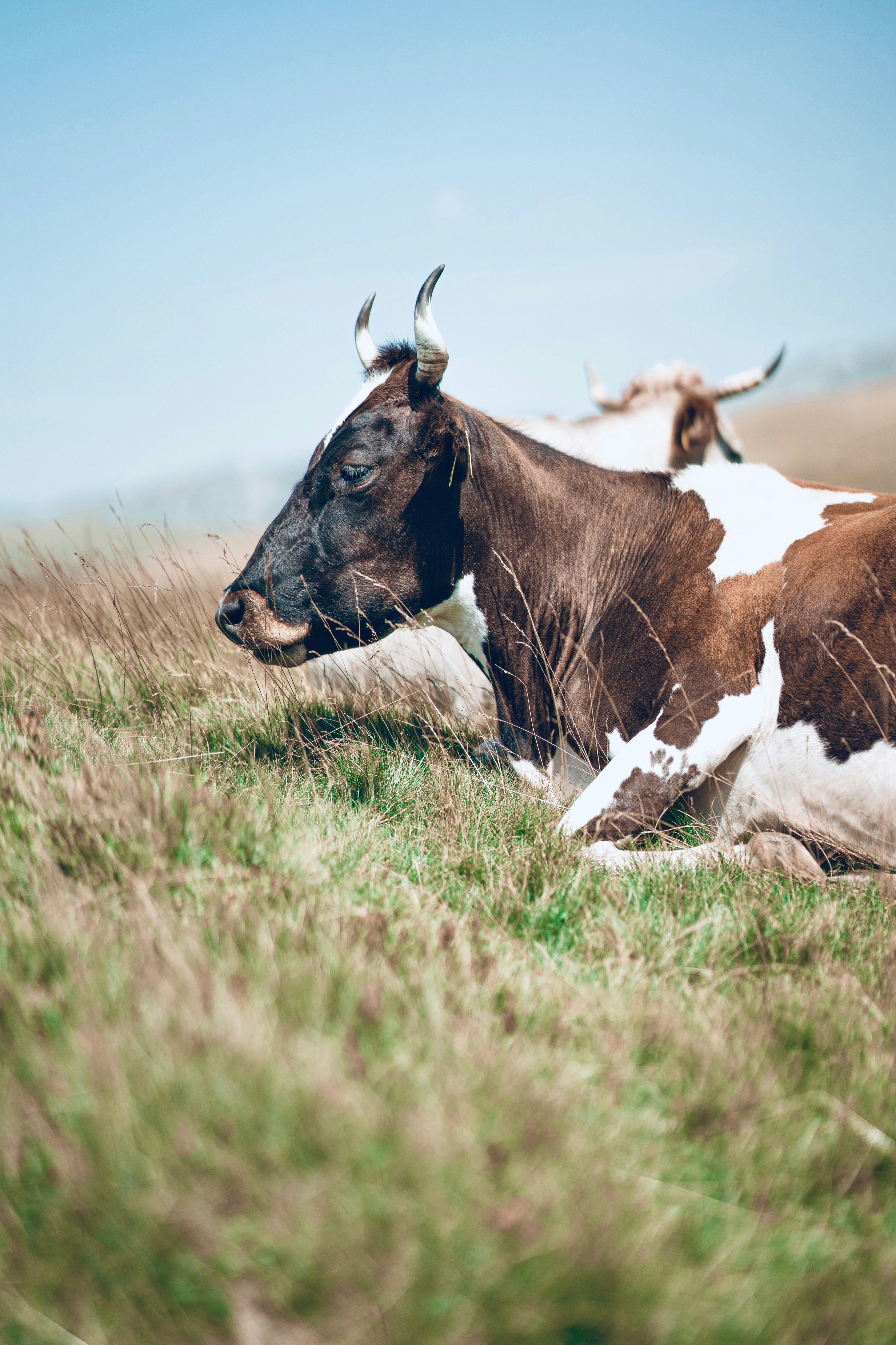 Photo by rosurazvi1995