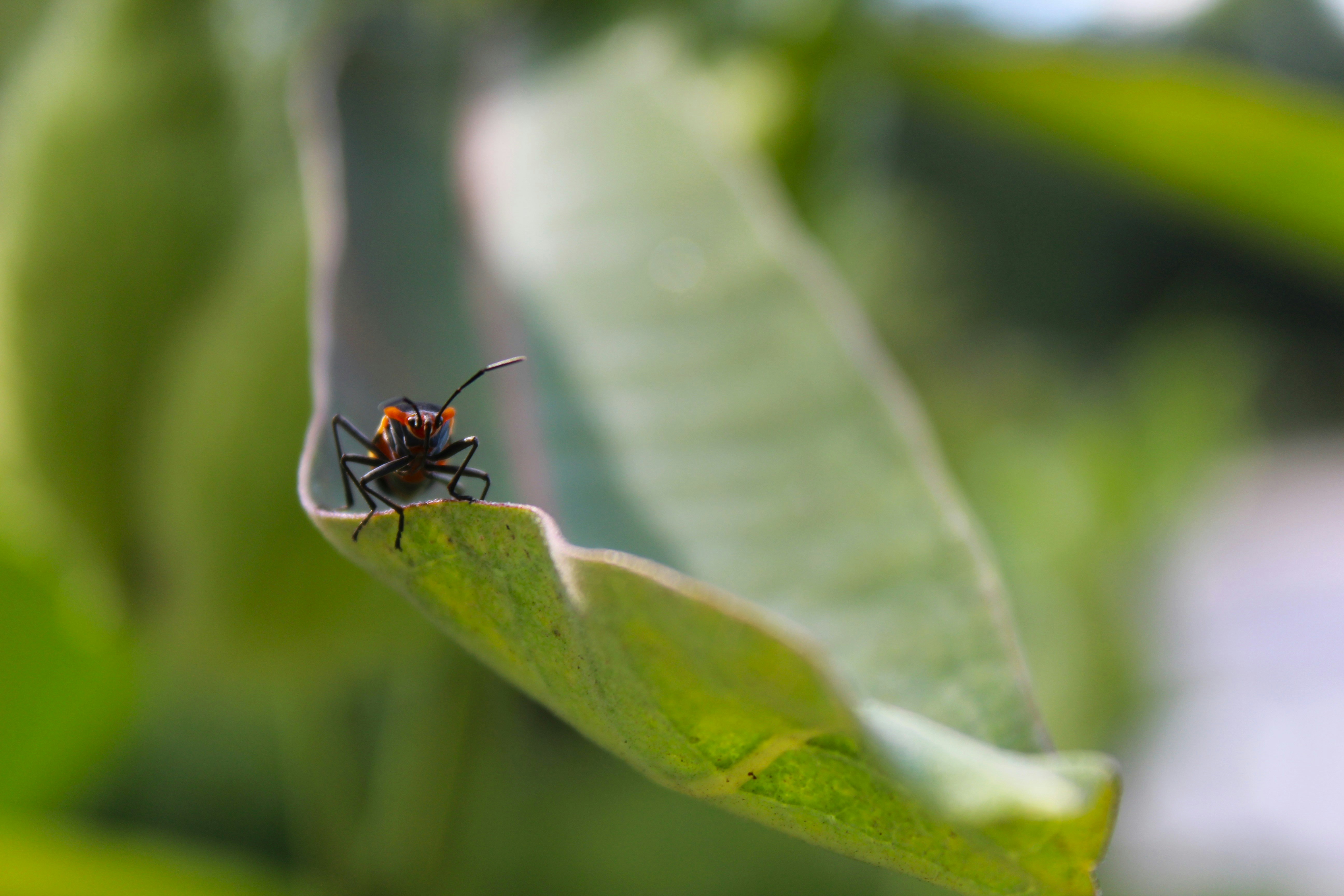 Photo by tylerohiobutler