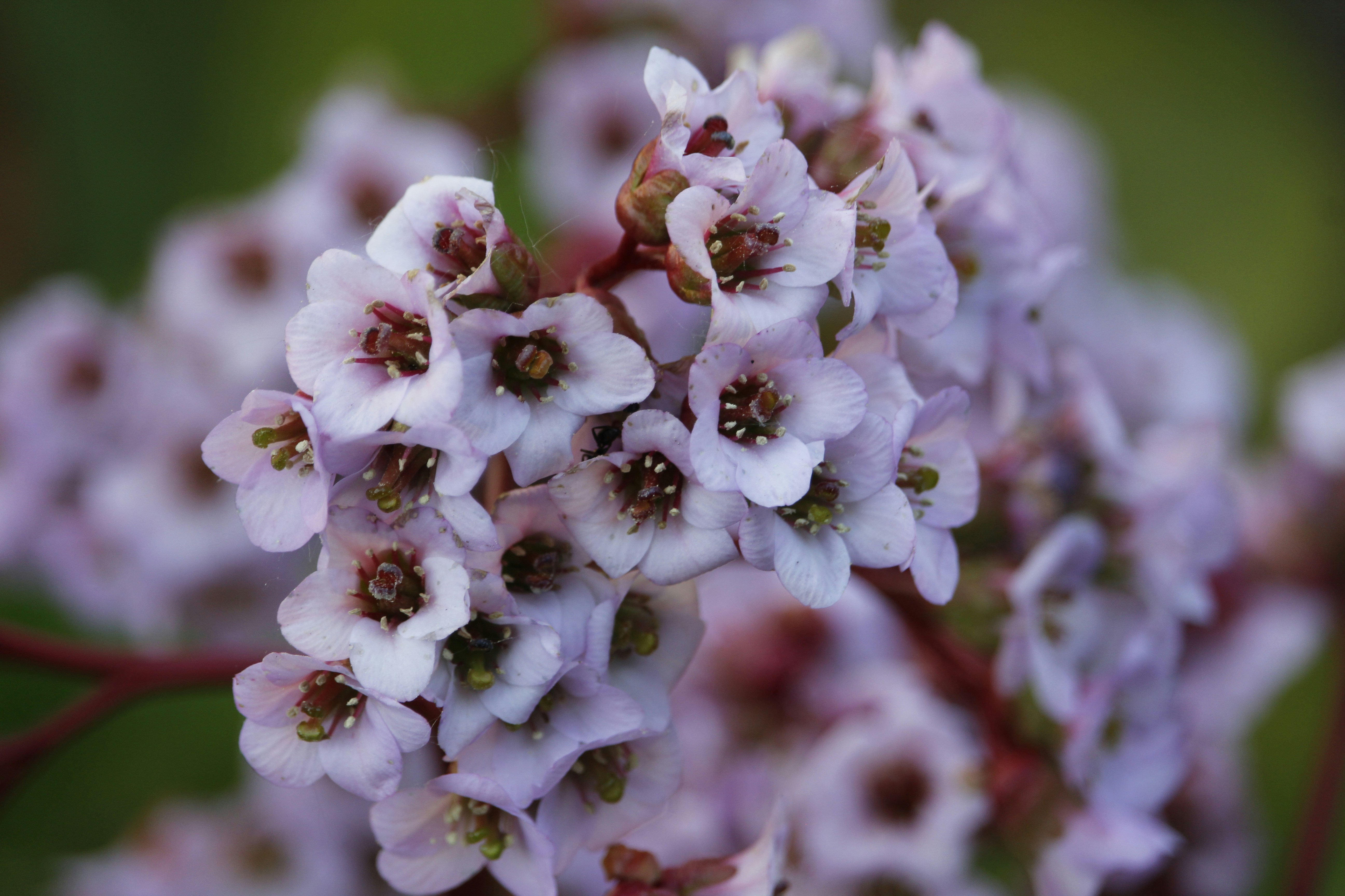 Photo by photo_tanbir