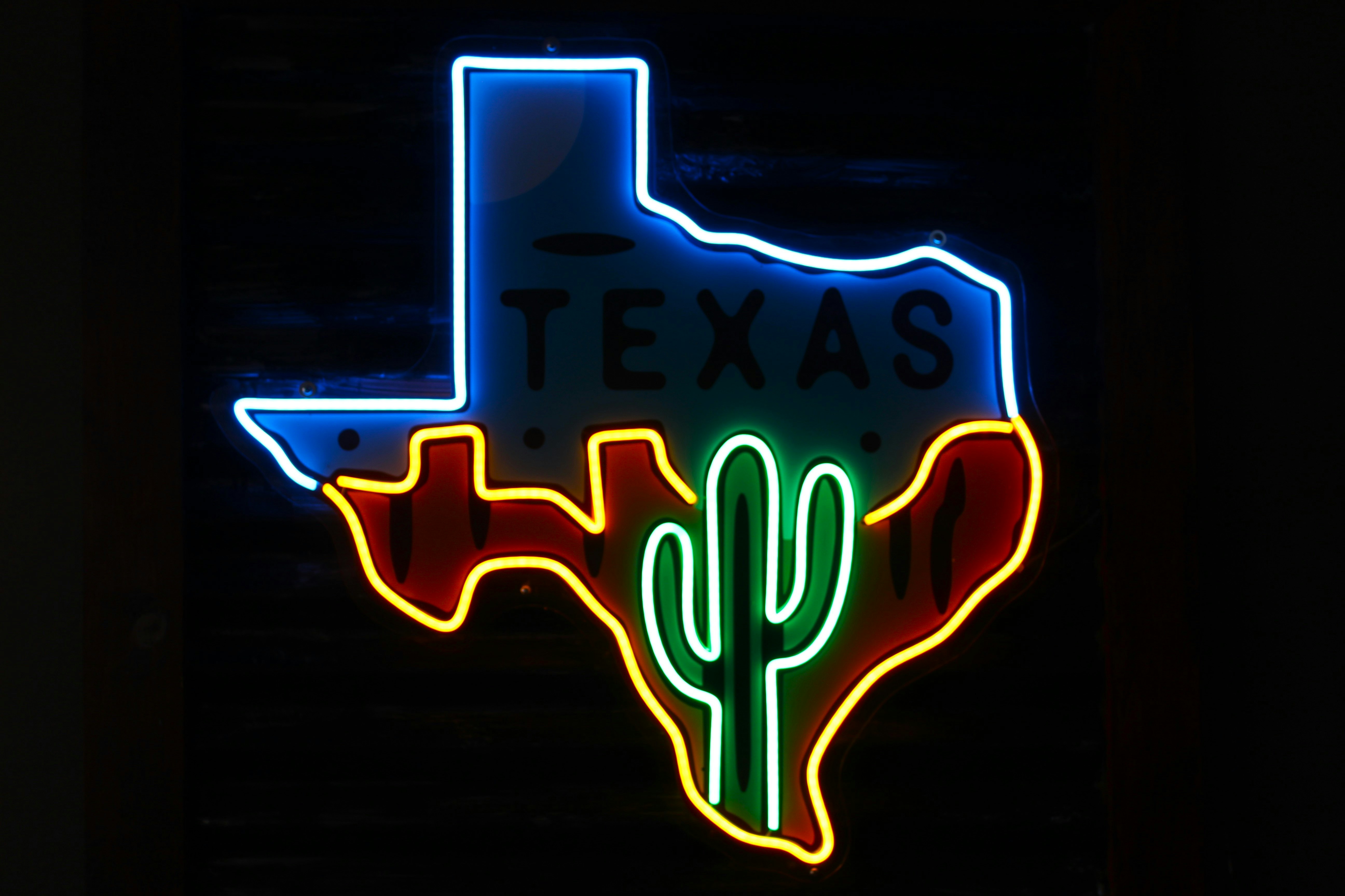 photo-1724189003818-c66de3d33090?ixid=M3wxMjA3fDB8MXxzZWFyY2h8Nnx8b25saW5lJTIwdGV4YXMlMjBob2xkZW18ZW58MHx8fHwxNzYwMTU4NTkzfDA\u0026ixlib=rb-4.1.0