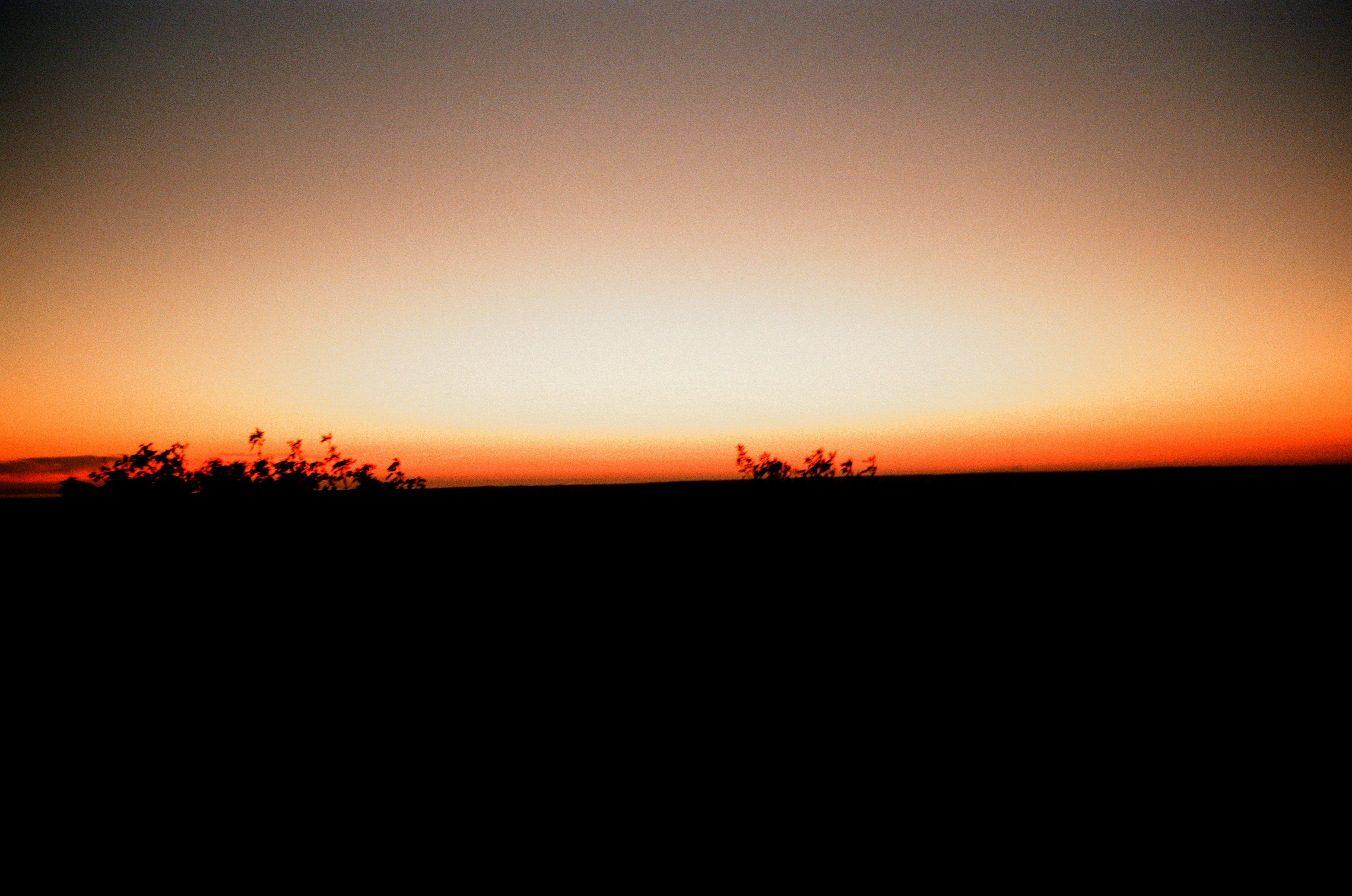 Photo by babikacharava